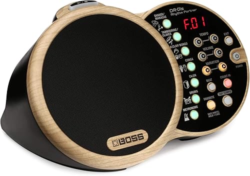 BOSS DR-01S Compañero de ritmo (DR-01S)