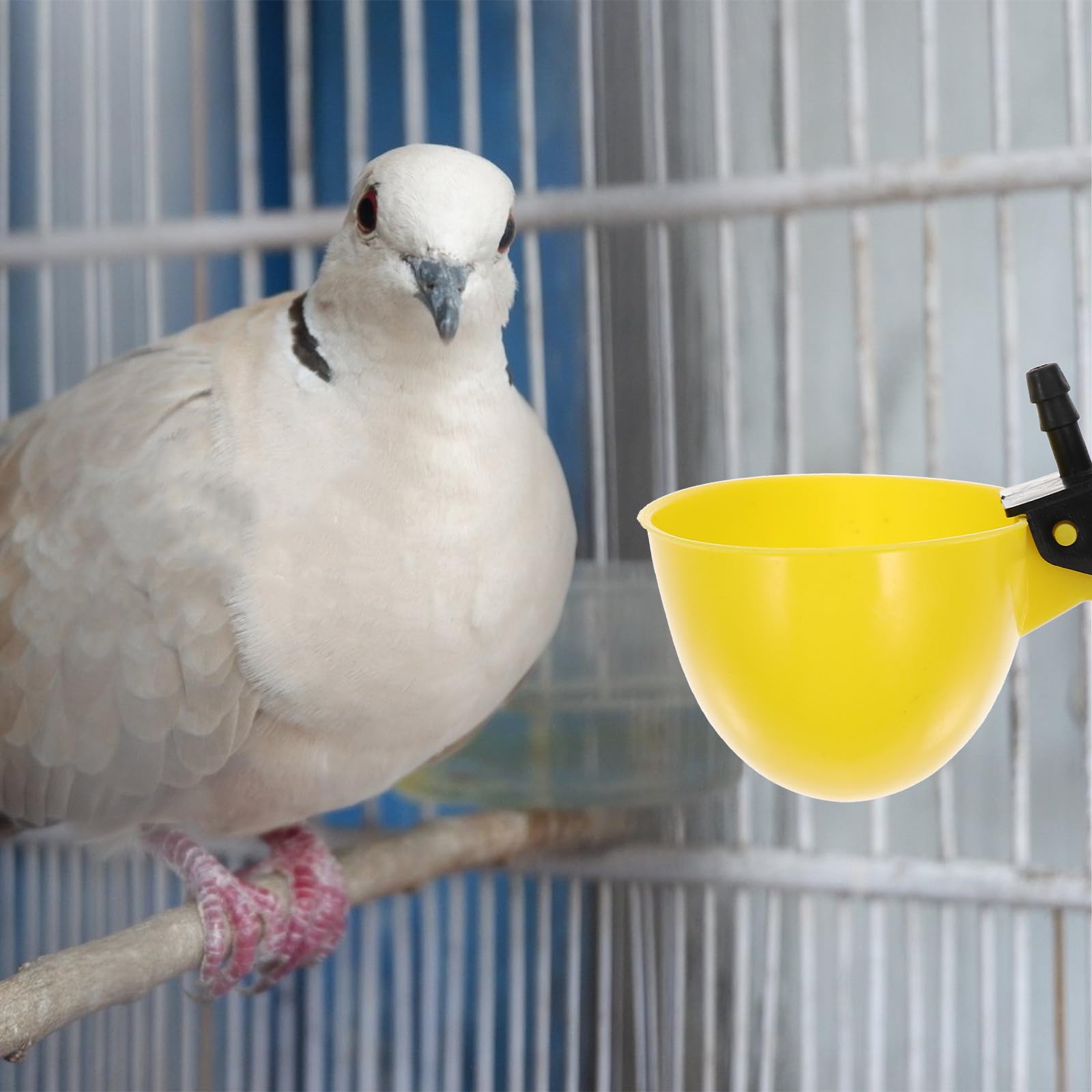 HEALLILY Bebedero Automático para Codornices y Gallinas, 10 Piezas Plásticas Amarillas, Dispensador de Agua para Uso en Granjas