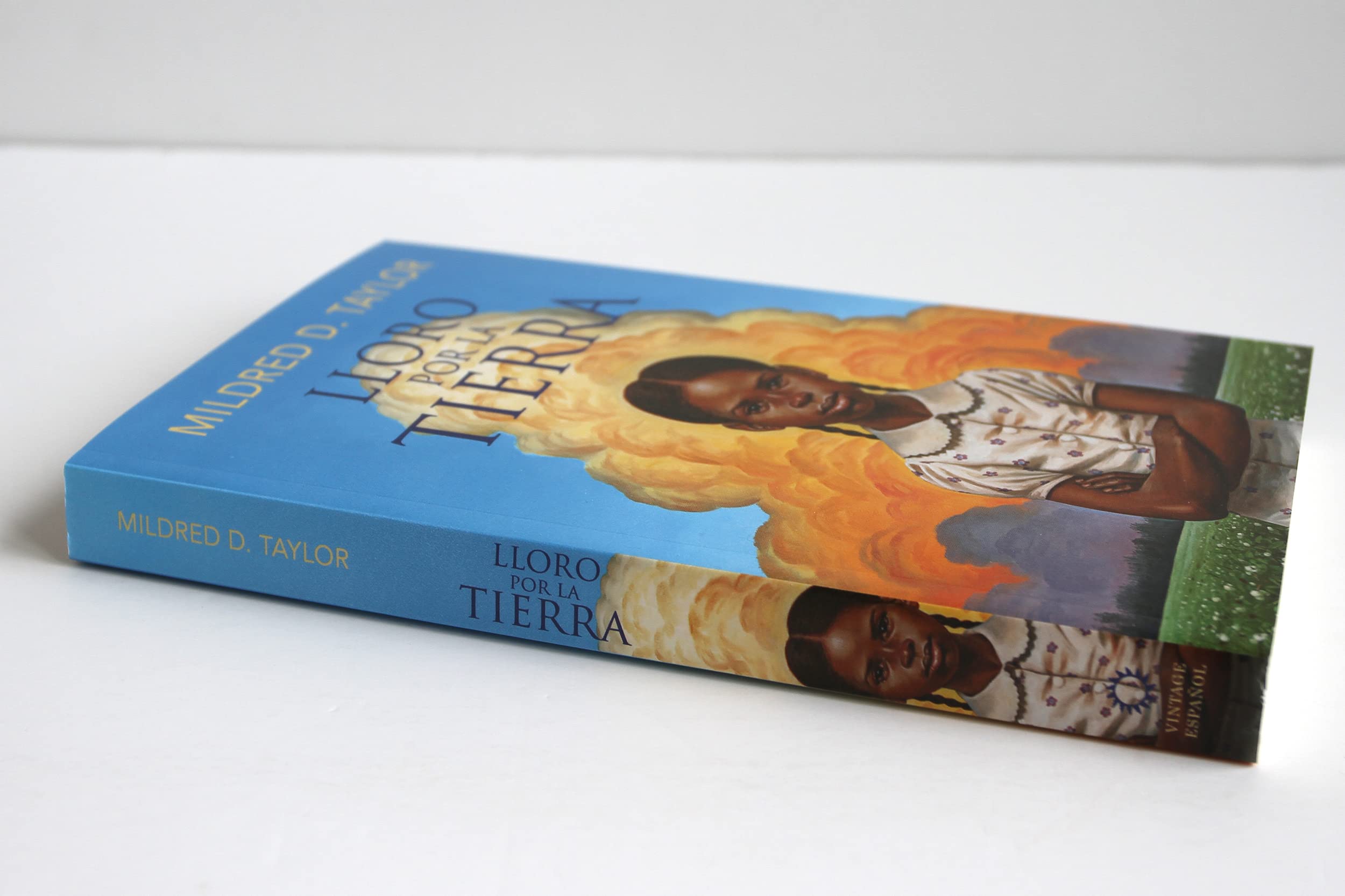 Lloro por la tierra / Roll of Thunder, Hear My Cry (Spanish Edition) - Image 4