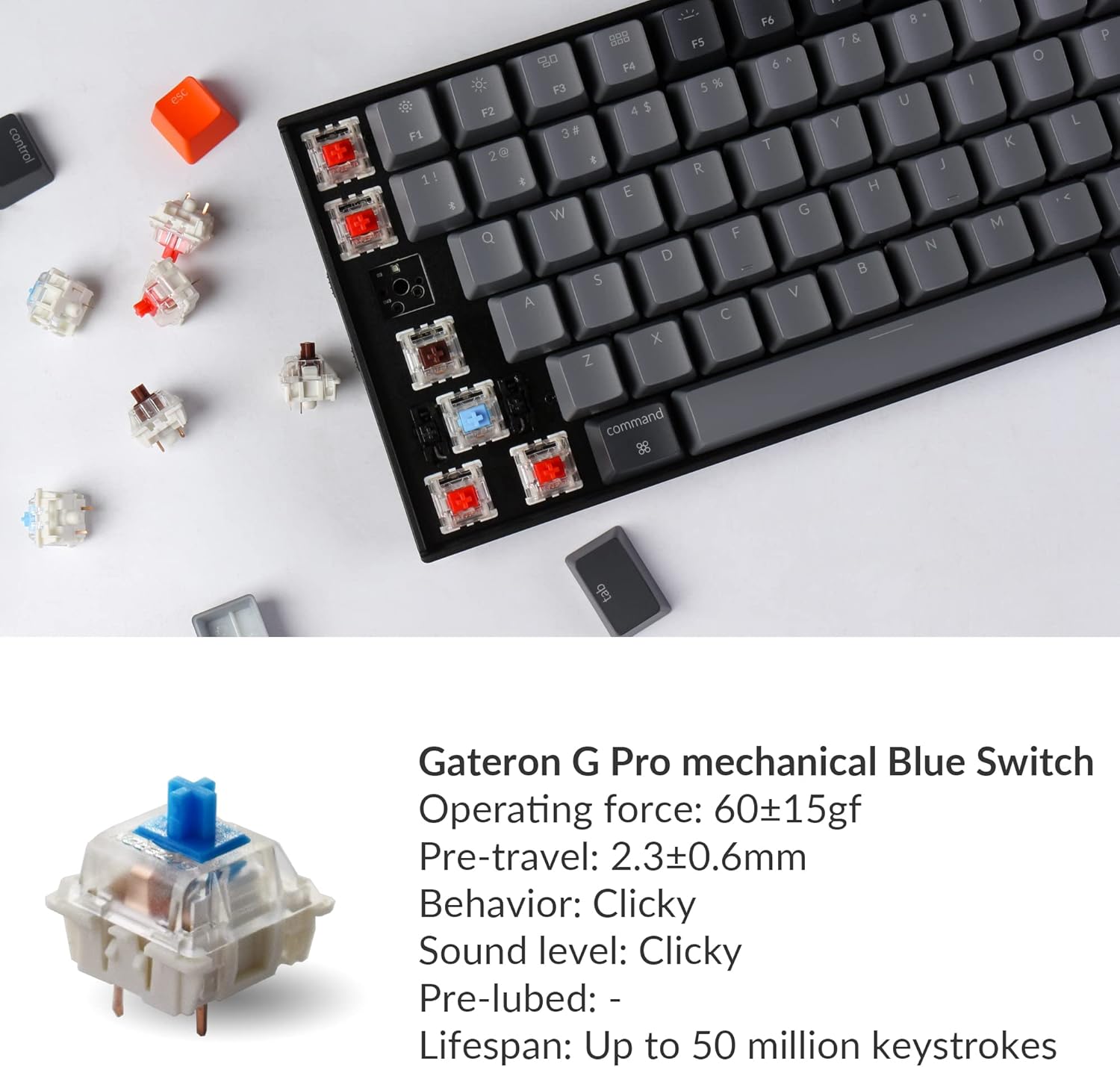Keychron K4 96% Layout Hot-Swappable Mechanical Keyboard, Gateron G Pro Blue Switch White LED Backlit Wireless Bluetooth 5.1/Wired USB 100-Key Computer Gaming Keyboard for Mac Windows-Version 2