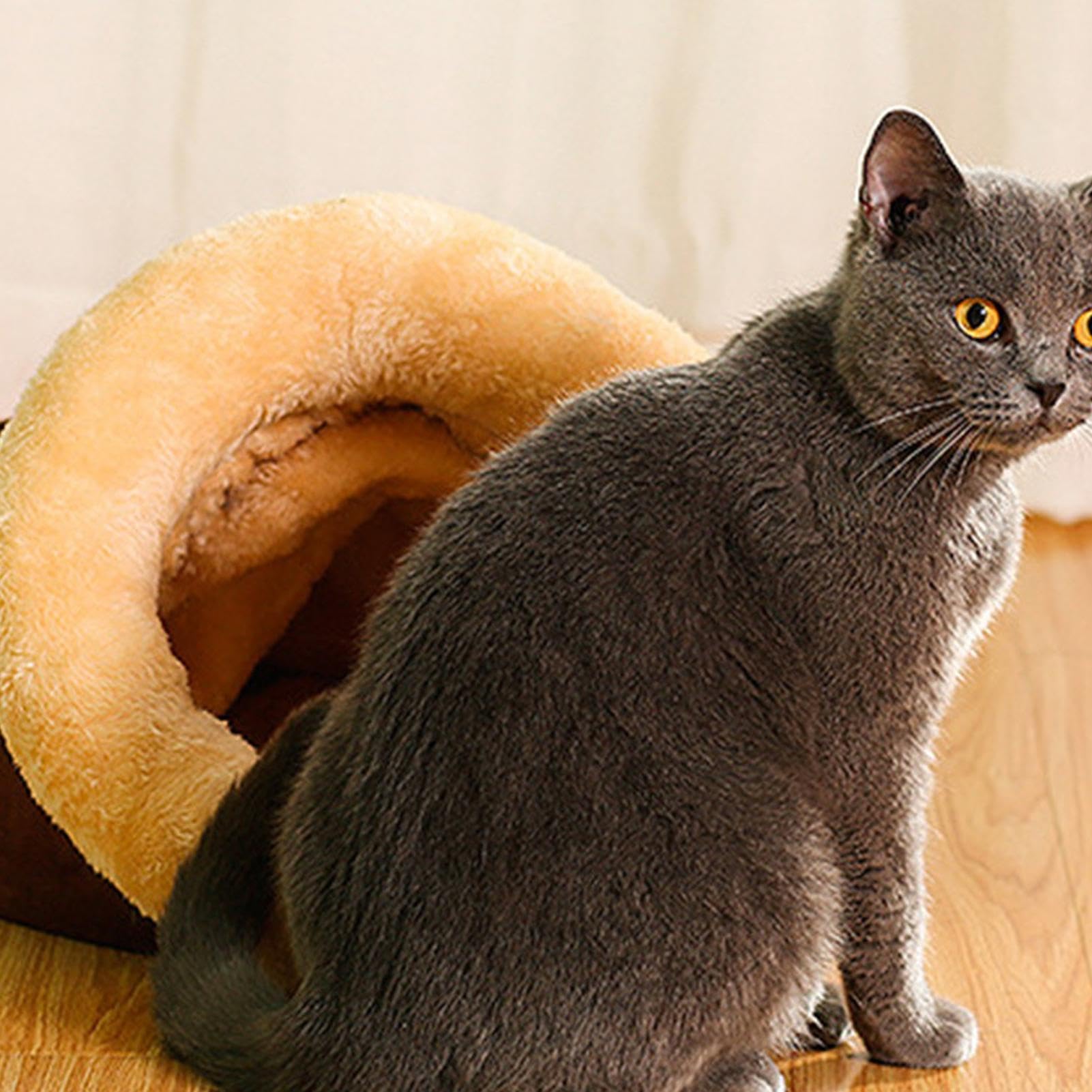 CATISM Katzenbett Waschbar Katzenschlafplatz Für K Produktbild-Vorschau 7