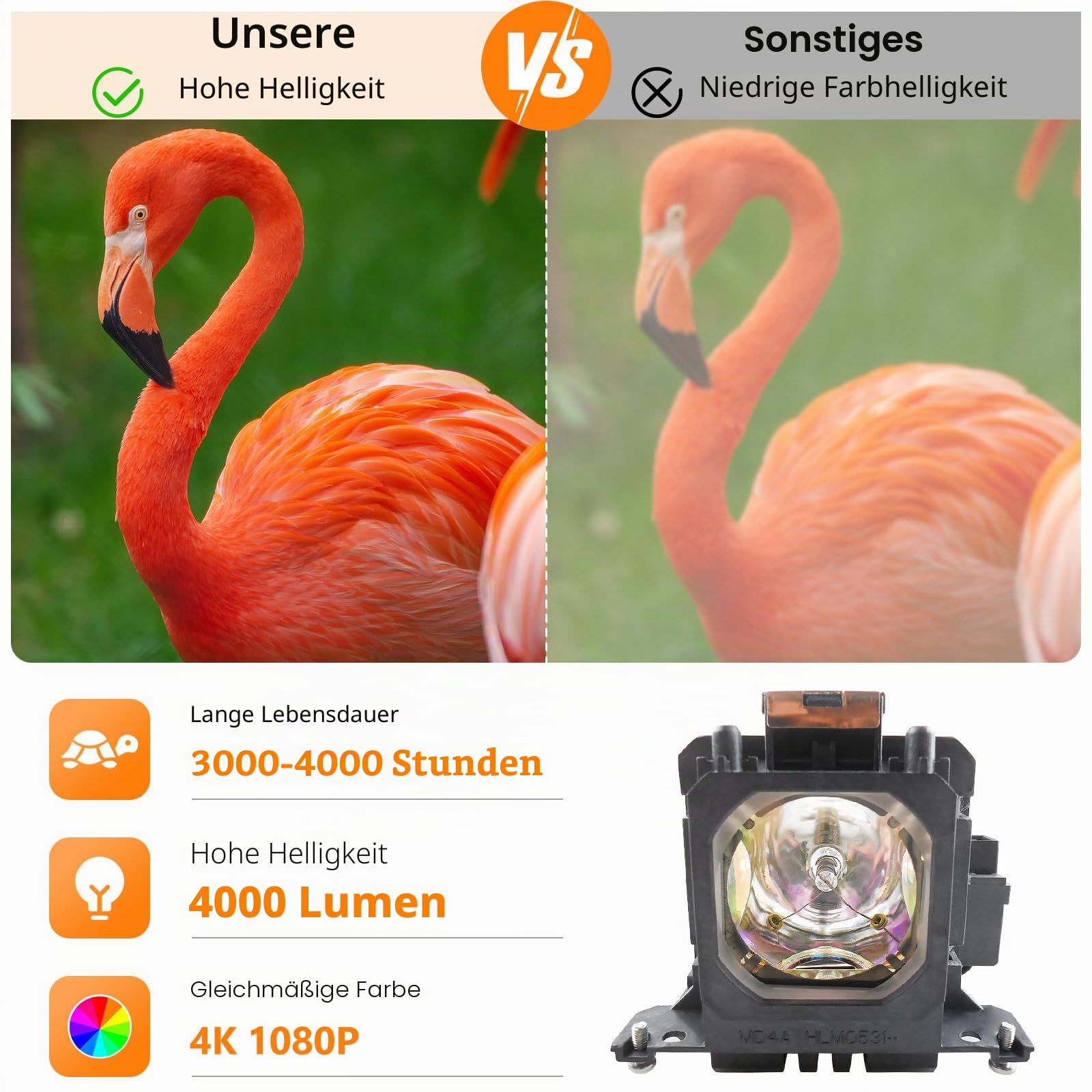 POA-LMP114 / 6103365404 Ersatzlampe, Kompatibel mit SANYO PLC-XWU30 PLV-Z2000 PLV-Z700 LP-Z2000 LP-Z3000 PLV-1080HD PLV-Z3000 PLV-Z4000 PLV-Z800