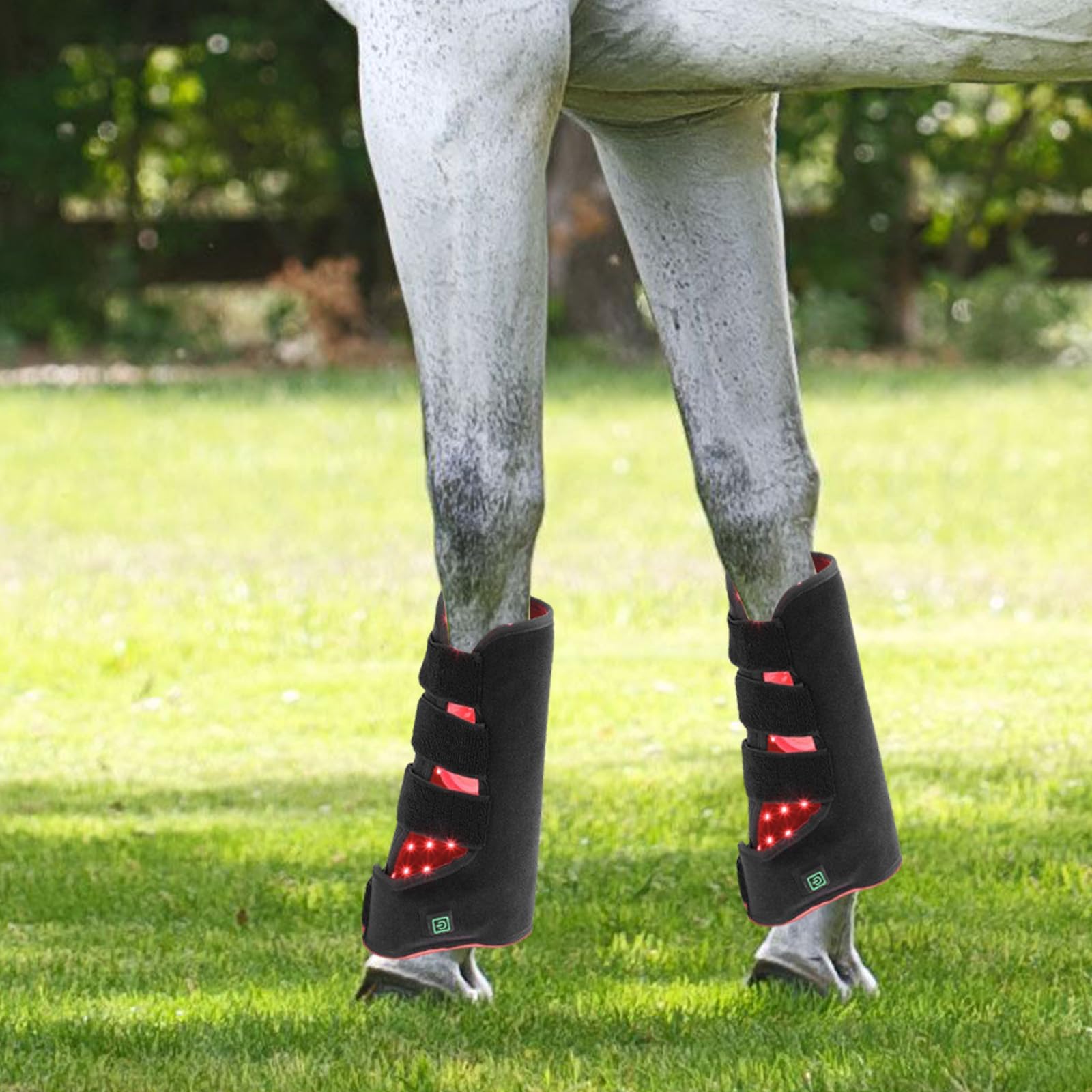 Dispositivo di terapia a luce rossa a LED per cavalli, stivali da cavallo a infrarossi per alleviare il dolore alle gambe, alleviare il disagio da esercizi vigorosi, confezione da 1