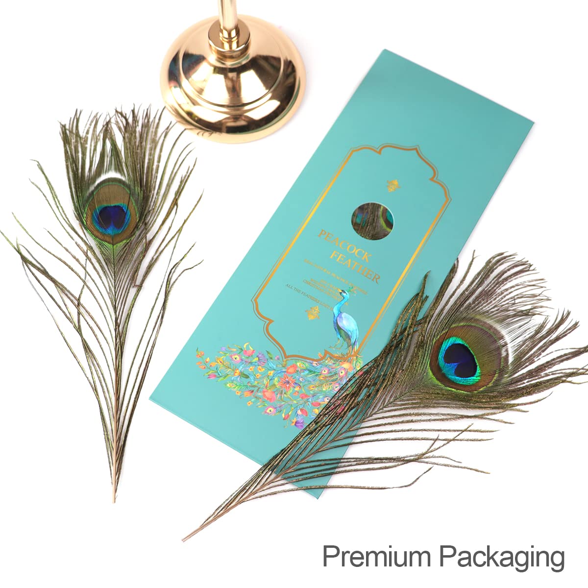 Amazon | wangruida 本物の天然孔雀の目の羽24個 10-12インチ(25