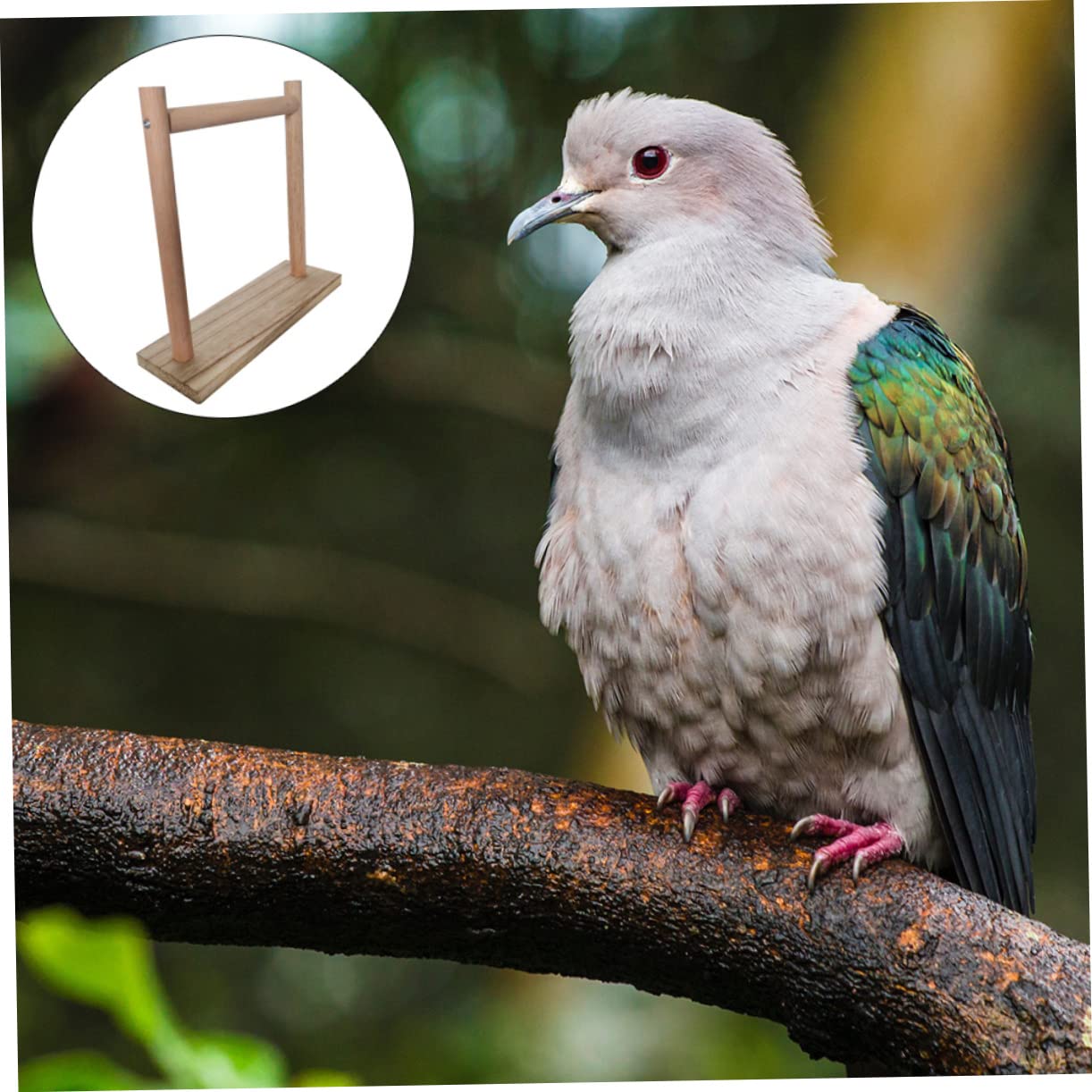 GALPADA 1Pc Parrot Stand Rack Creative Bird Play Stand for Exercise Stability Training for Parrots Cockatiels Birds