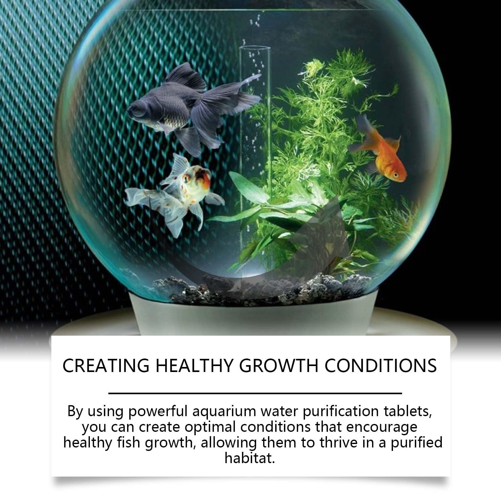 3 pièces Comprimés Puissants de Purification d'eau d'aquarium pour bac à Poissons, Lot de 35 Pastille Purification Eau pour Aquariums éliminant la Turbidité, Dispositif Portable pour Aquarium - 4