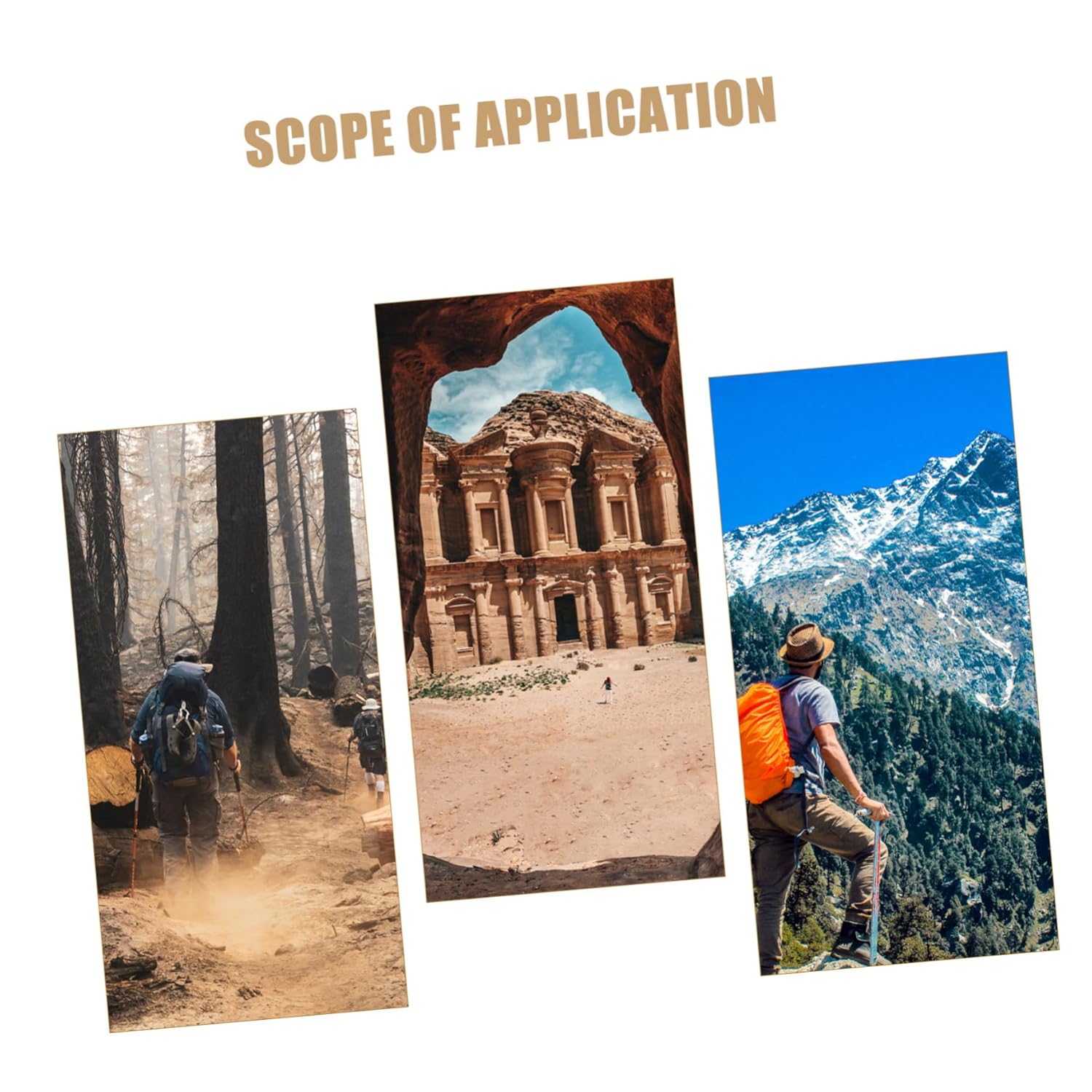 DECHOUS Copper Dragon Head Dowsing Rod for Water Detection Portable Feng Shui Probe Tool with Precision Compass Flexible Design Material Easy to Use