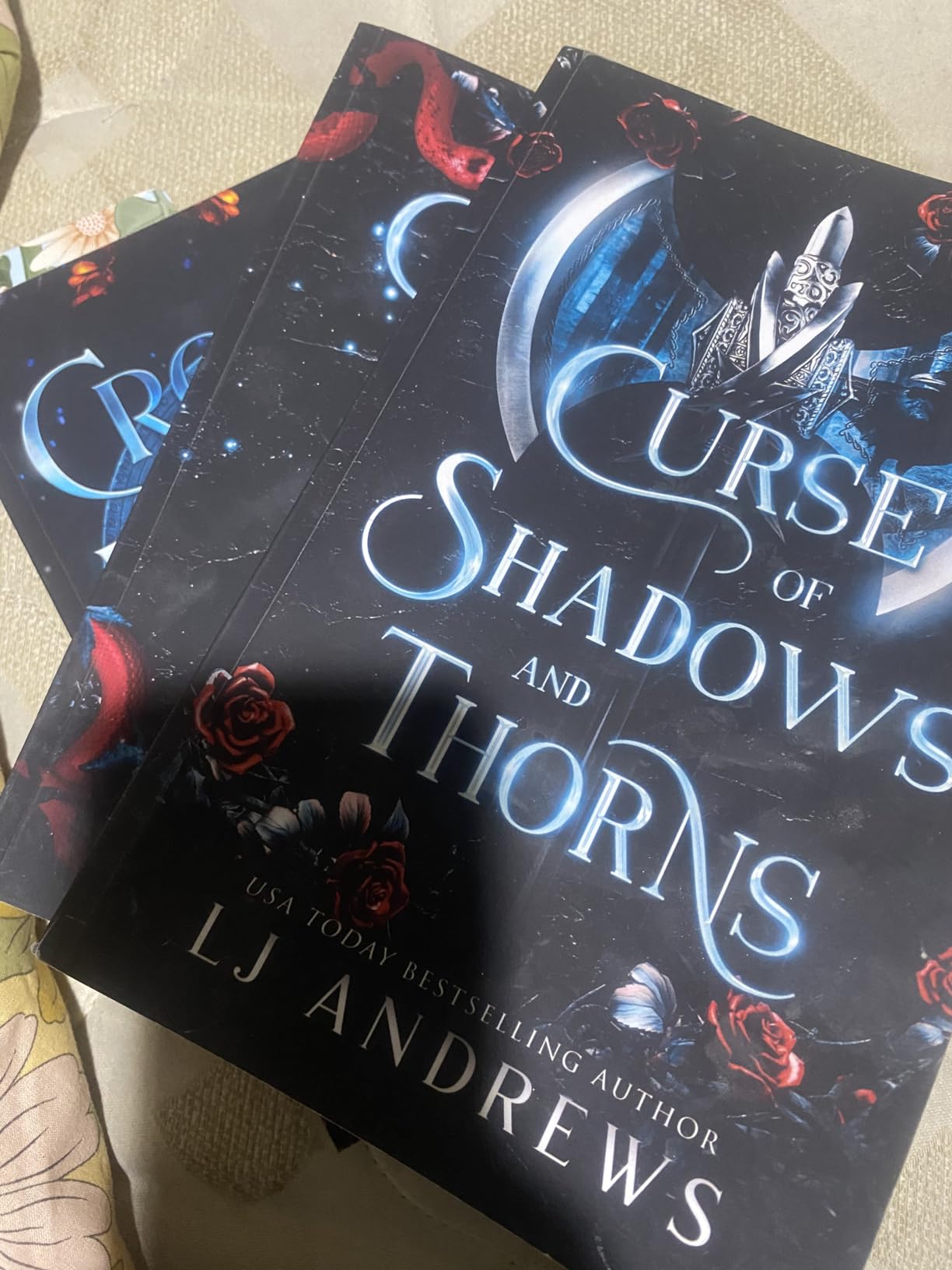 Curse of Shadows and Thorns A romantic fantasy Andrews, LJ