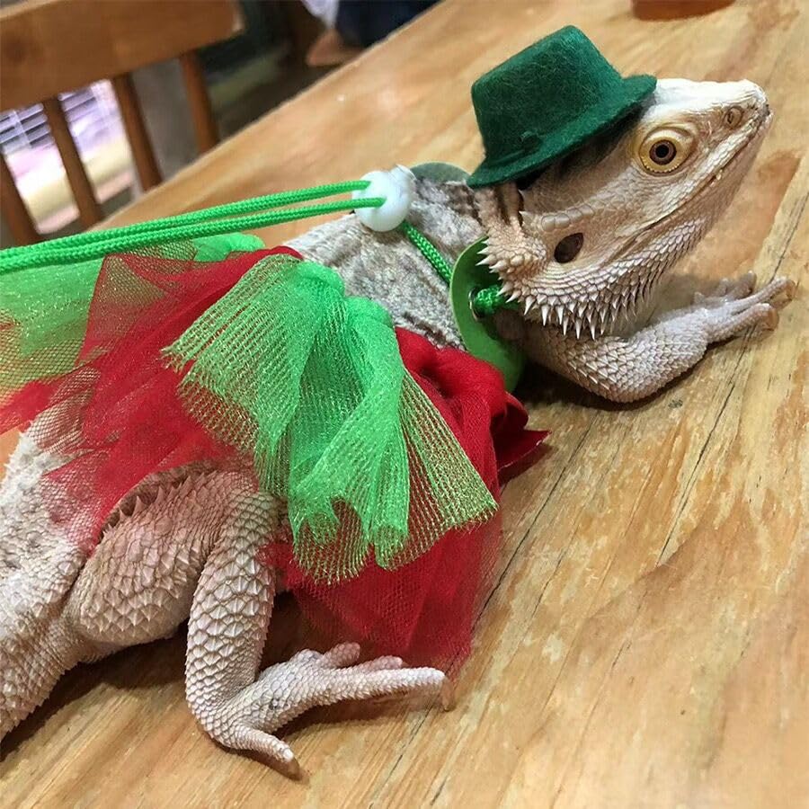 Image of Bearded Dragon Lizard Leash Harness Adjustable(S,M,L, 3 Pack) Bearded Dragon Costume and Hat Lizard Layered Rainbow Tutu Skirt Hat Set for Amphibians and Other Small Pet Animals (Green Set)