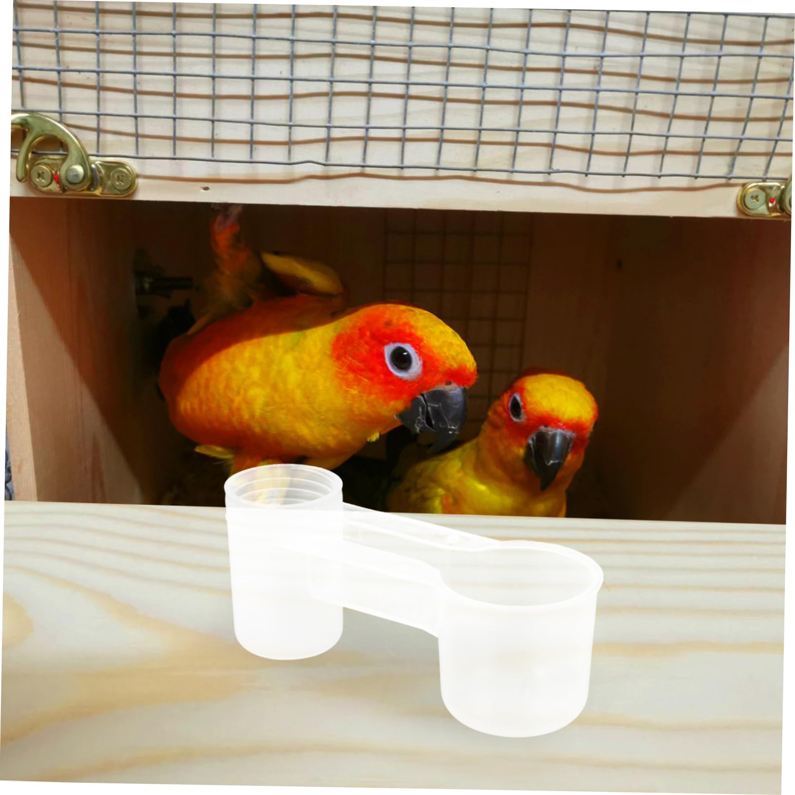 Abbeveratoio per Uccelli Doppia Porta in Plastica Pet, Set 10 Pezzi, Bevitore per Piccioni e Pappagalli, Forniture per Alimentazione Domestica e Zoo