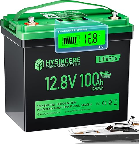 Batería de litio LiFePO4 con motor de arrastre de 12 V 100 Ah, BMS integrado de 120 A con protección a baja temperatura, batería LiFePO4 de ciclo