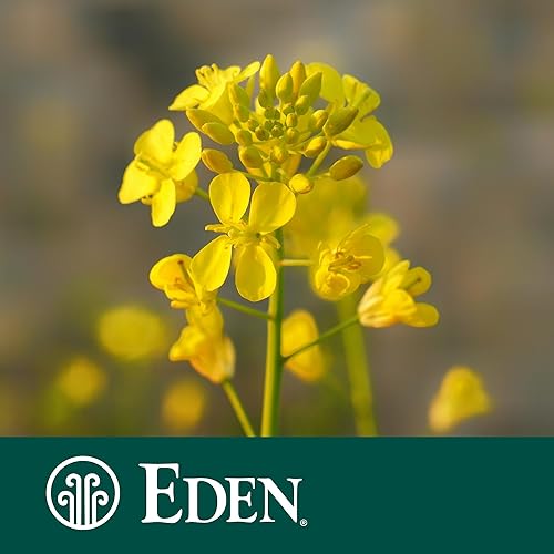 Miniatura 5 de Eden Mostaza amarilla orgánica, frasco de vidrio de 9 onzas, molido en piedra, con vinagre de sidra de manzana