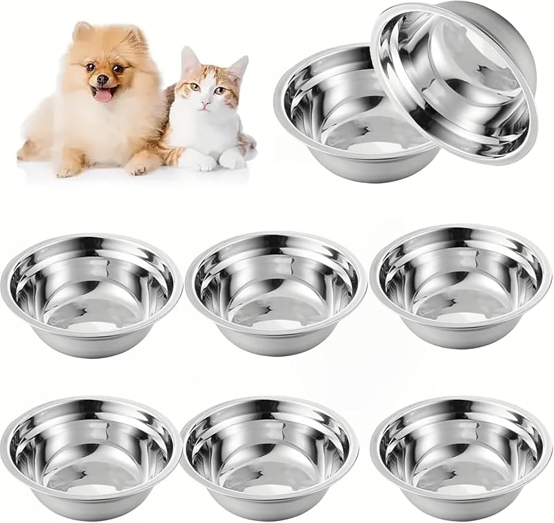 Potes rasos para gatos em aço inoxidável 304, kangnuoxue, 6 unidades