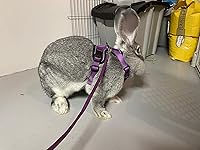 Review Image by Debbie