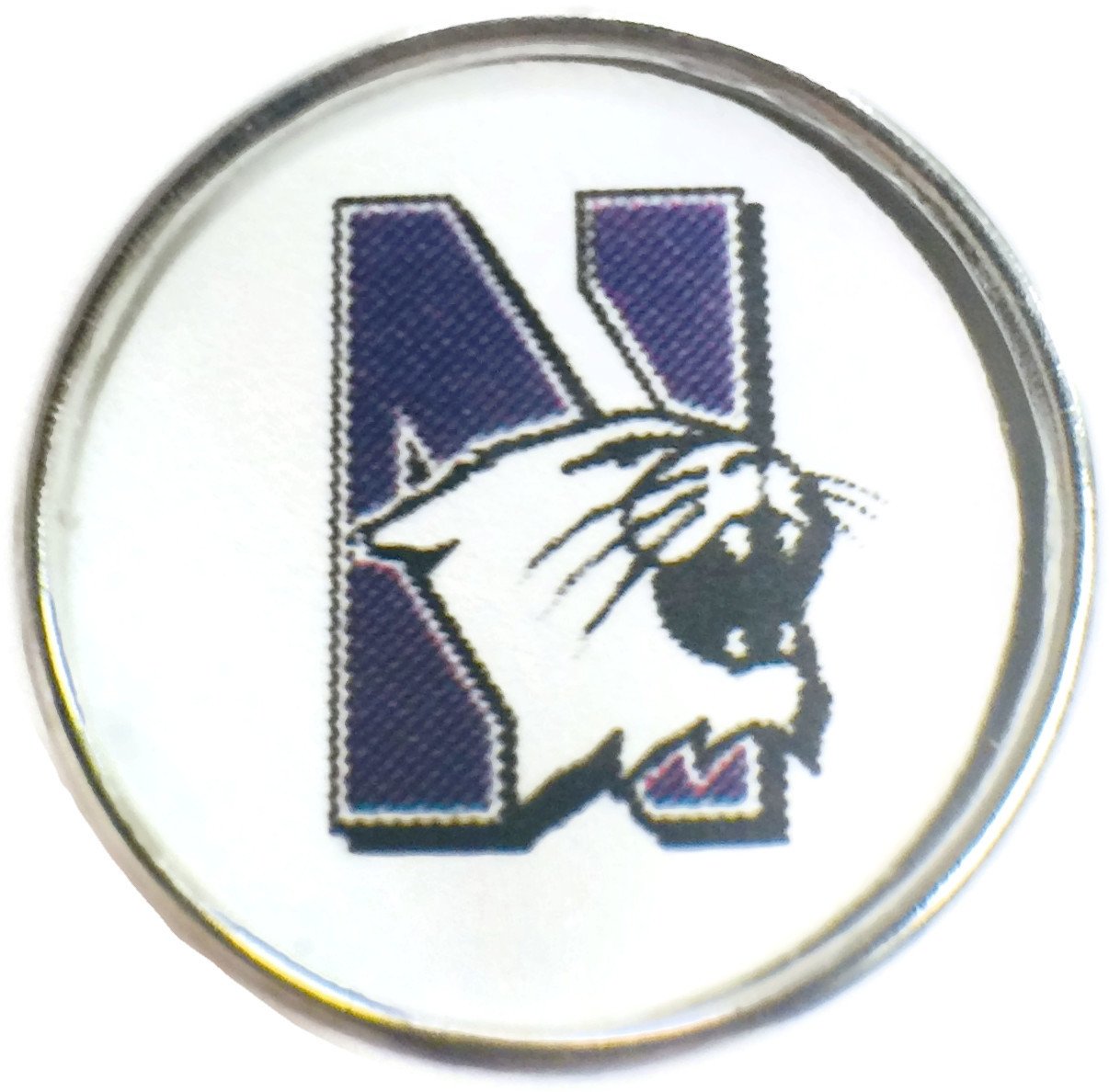 Snap Jewelry Northwestern Wildcats College Logo Fashion University Snap Charm
