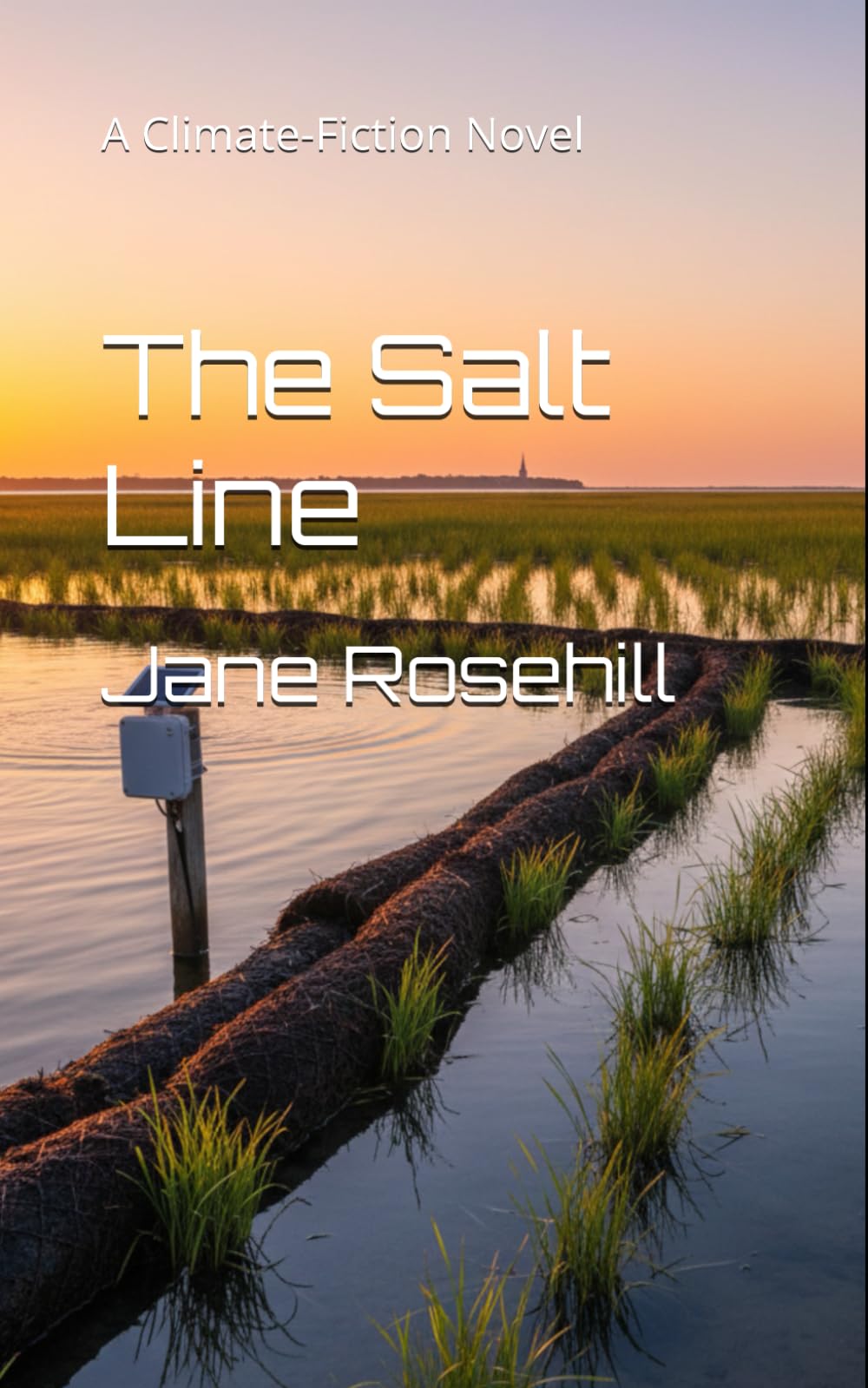The Salt Line: A Climate-Fiction Novel