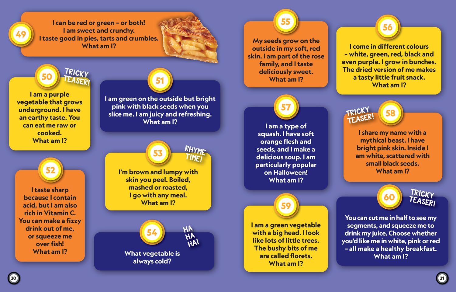 Fun Riddle Book: 300 fun riddles and brain-teasers