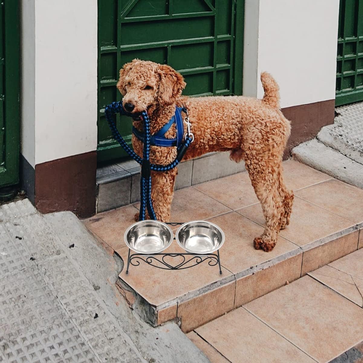 Mipcase 1set Elevated Stainless Steel Dog Cat Bowls Iron Stand for Comfortable Feeding Tip Design Height for Pets and Practical Pet Dishes