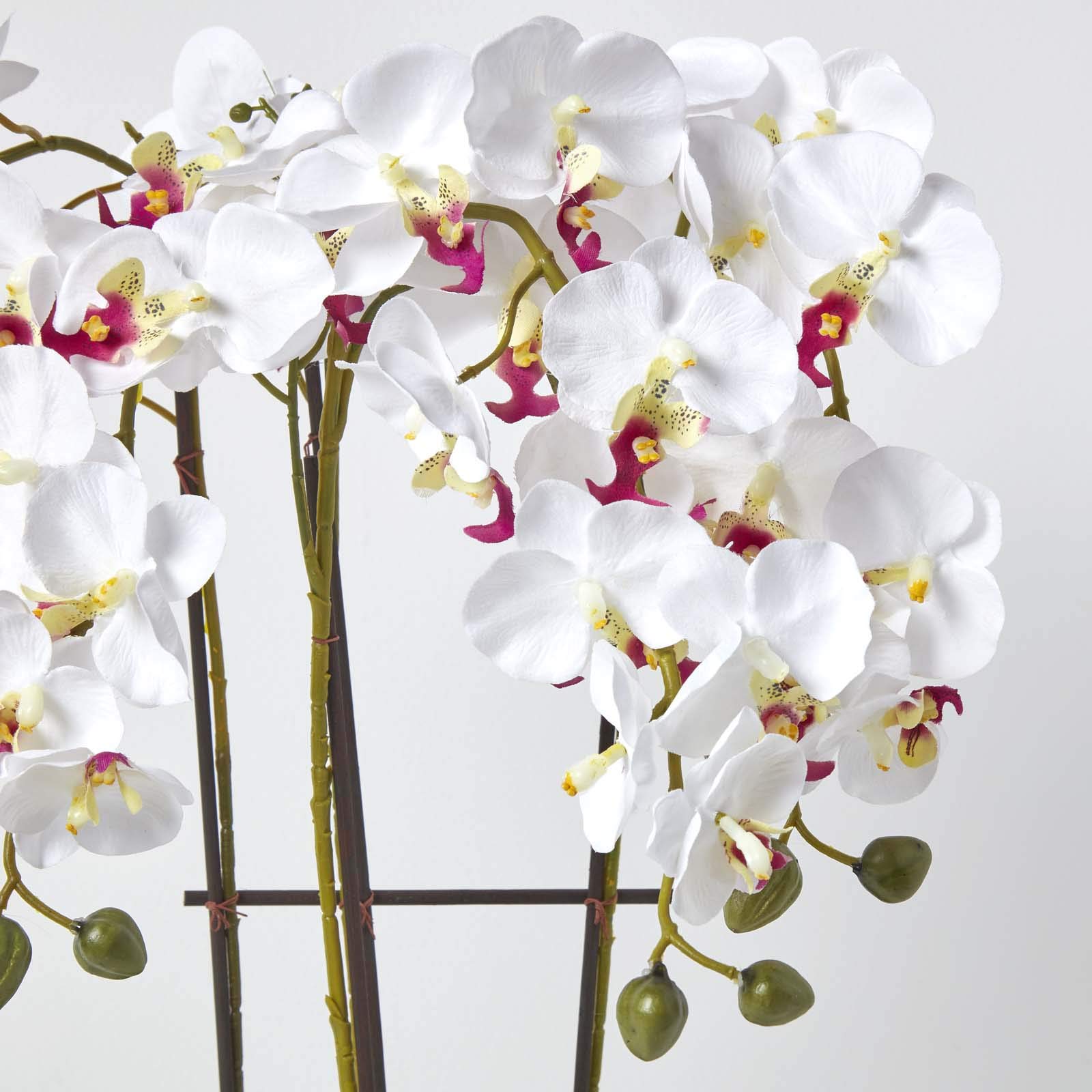 Homescapes Set Di 2 Orchidee Artificiali In Vaso Ceramica Nera, Fiori Finti Con Protezione UV, Per Decorazione Interni - 2