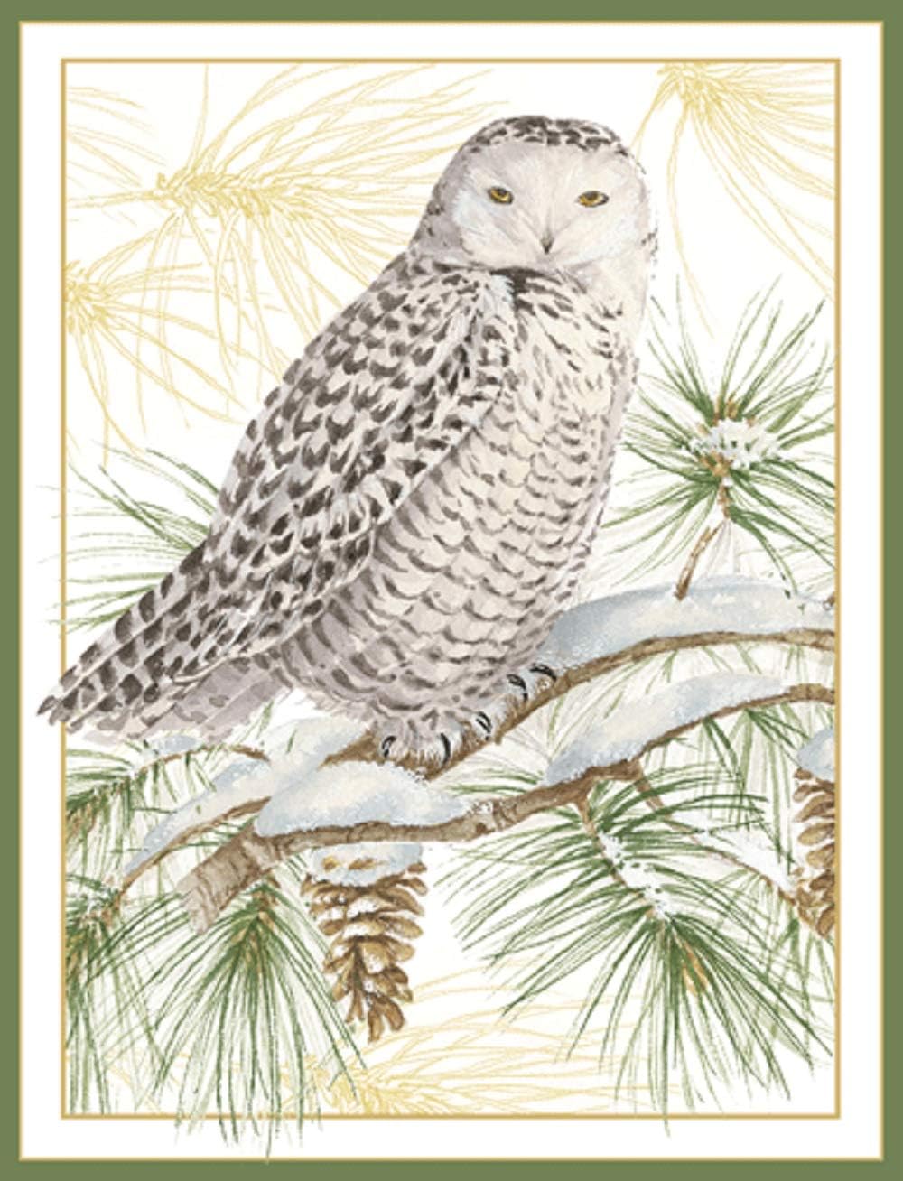 Caspari Snowy Owl Boxed Christmas Cards - 32 Cards & Envelopes