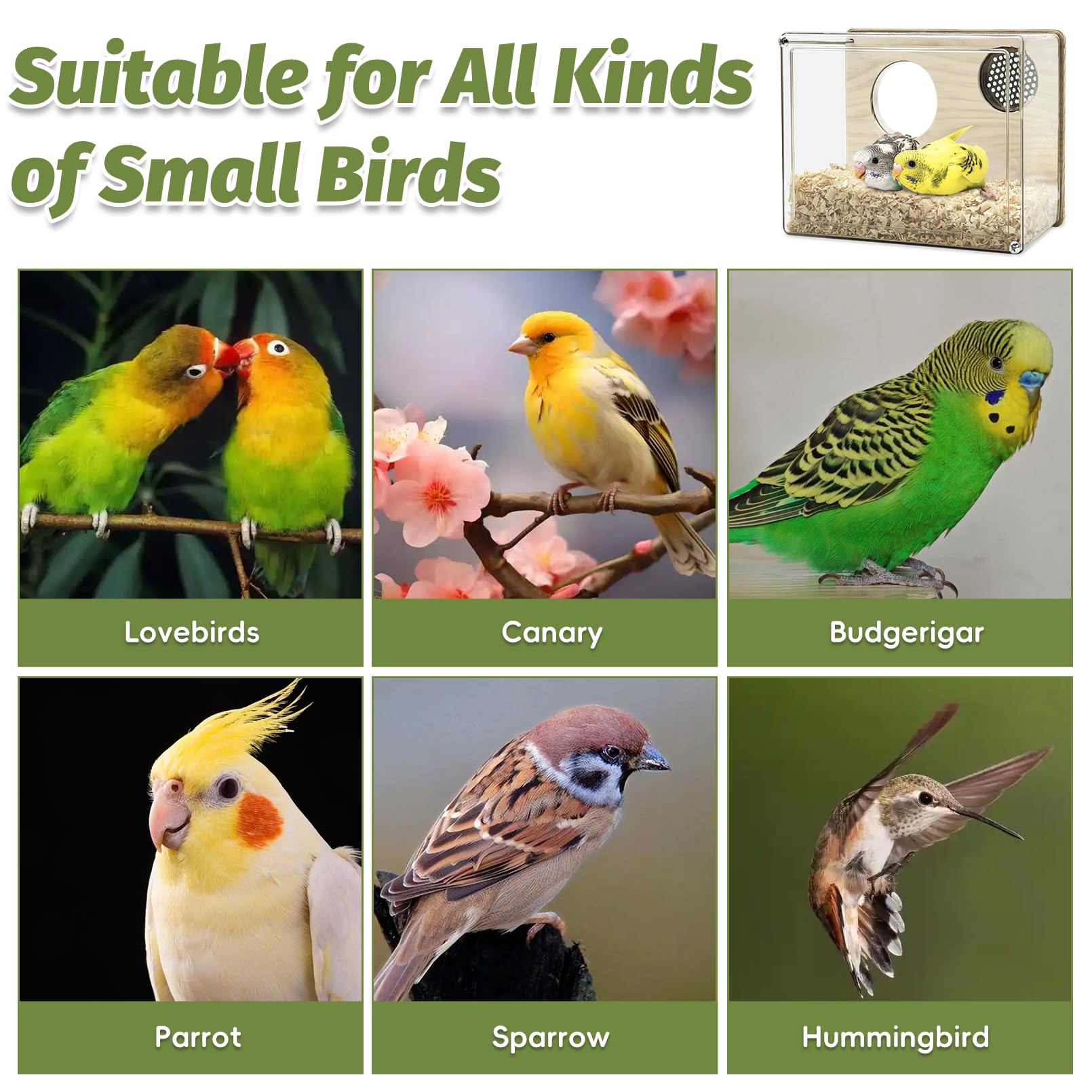 PINVNBY Caja de anidación y cría de acrílico transparente, para jaula, para casa de pájaros con percha, para periquitos, cotorras, loros, cacatúas, agapornis y pájaros pequeños (L: 20,5 x 15,8 x 10 cm