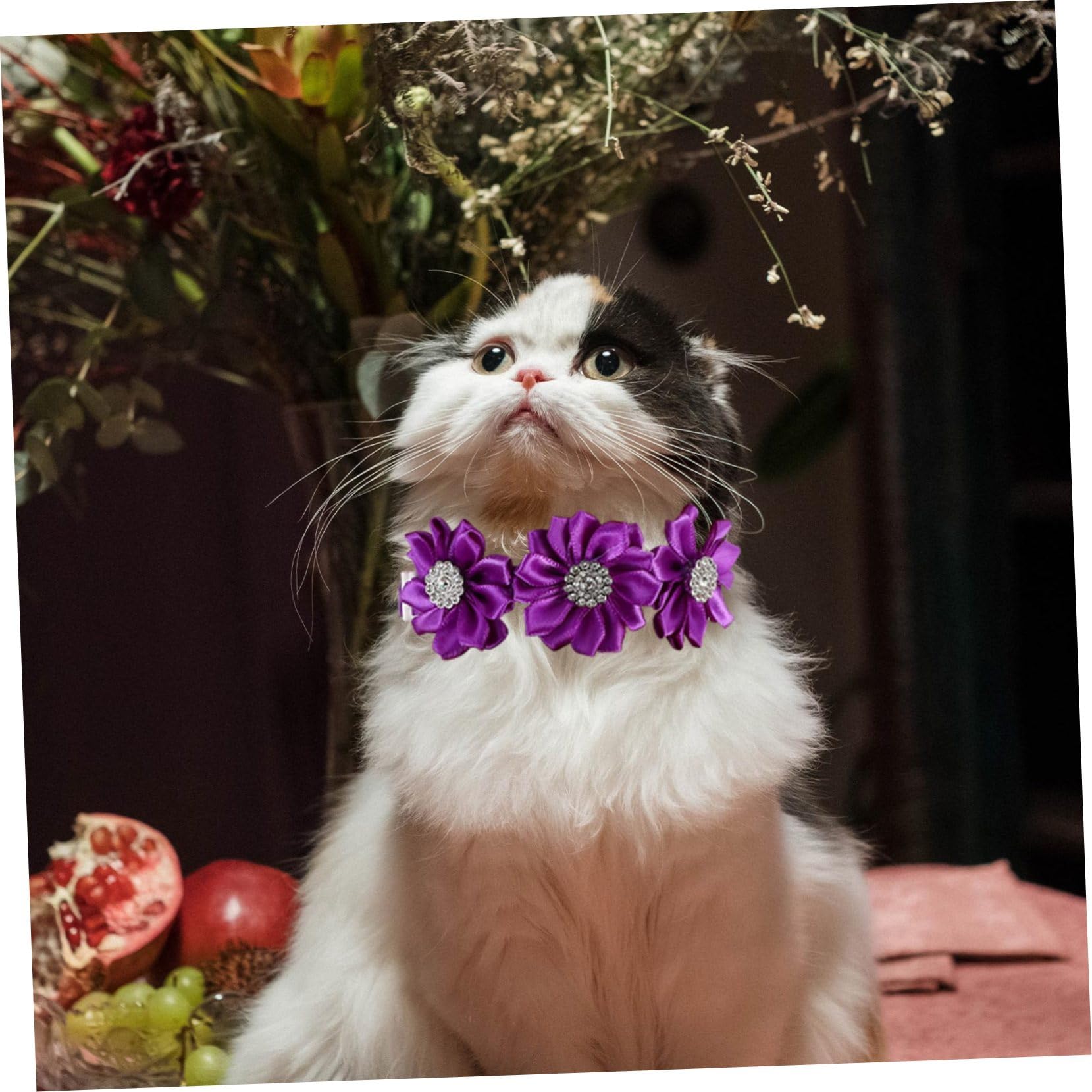 BESPORTBLE 36stücke Blumenhalsband Mit Strass Für Hunde Und Verstellbares Bowtie- Charmante Pet-Accessoires Für Besondere Anlässe Und Hochzeiten