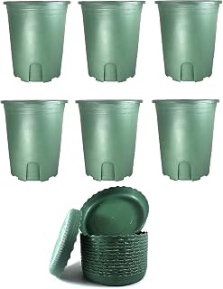 6 Sets / 1 Gallon Diameter 6.34" Height 6.89" Green Plastic Pots with Tray/Root Control Desige/for Vegetable Flower Fruit Nursery Plants/Garden Outdoor Indoor