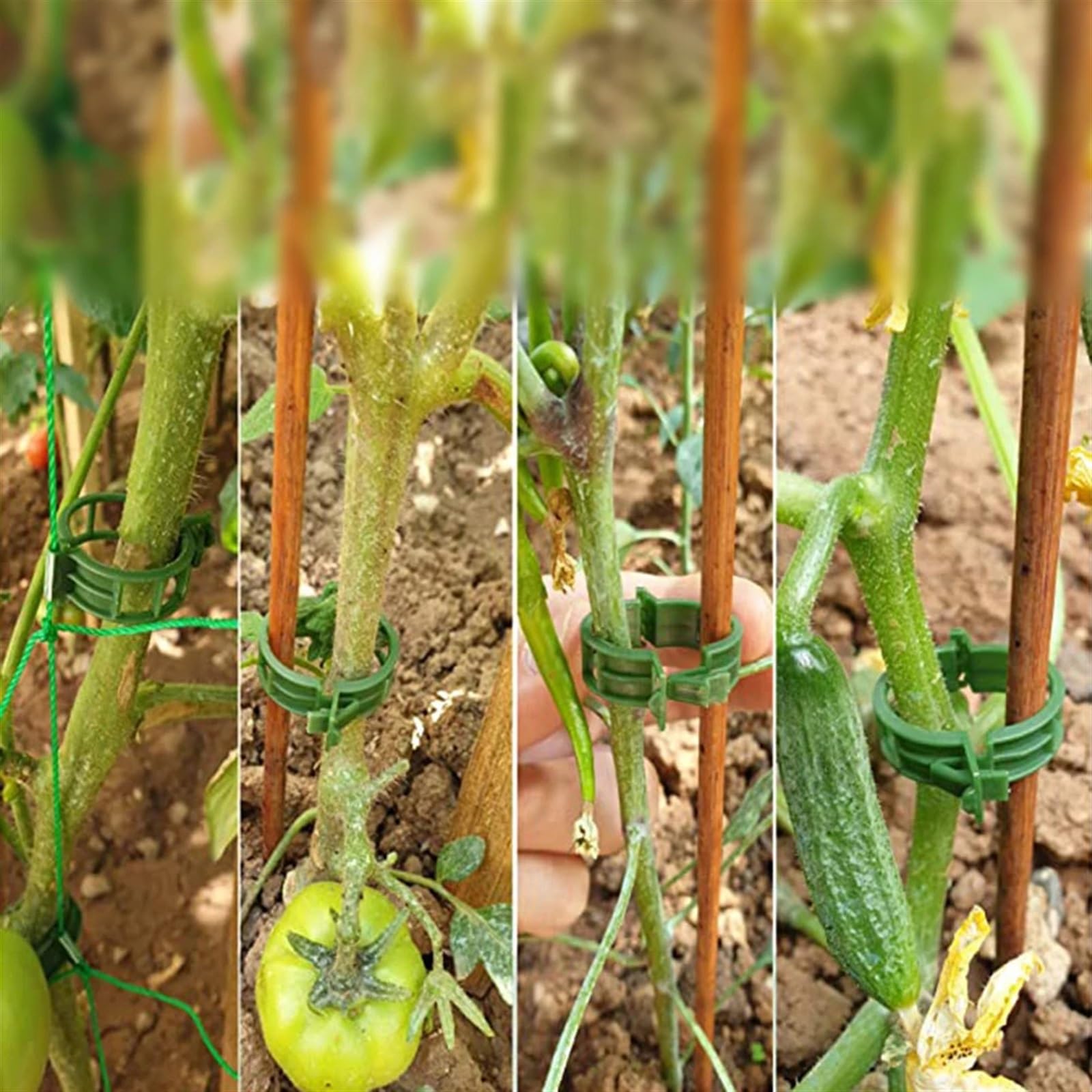 Attaches pour Plantes de Jardin, Clips de Support for Plantes, Piquet en Treillis en Plastique, Support de Serre for tomates de Jardin, 100 pièces