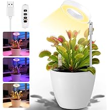Venus Flytrap Desktop Pot with LED Grow Light Home Office Desk Decor