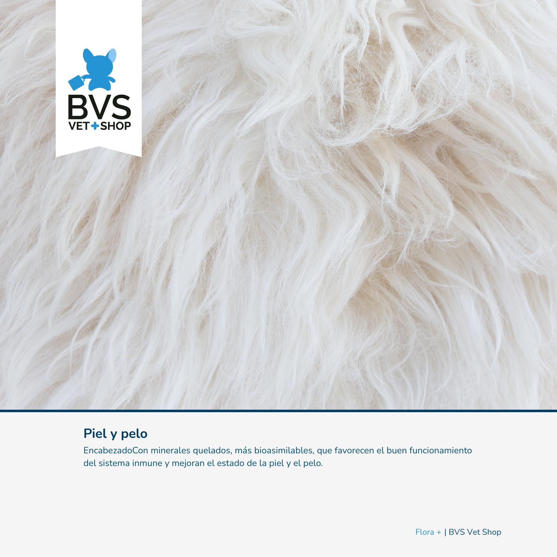 BVS Vet Shop | Flora Plus Probióticos para Perros | Ayuda a Mantener una Flora intestinal equilibrada y Saludable en tu Mascota |