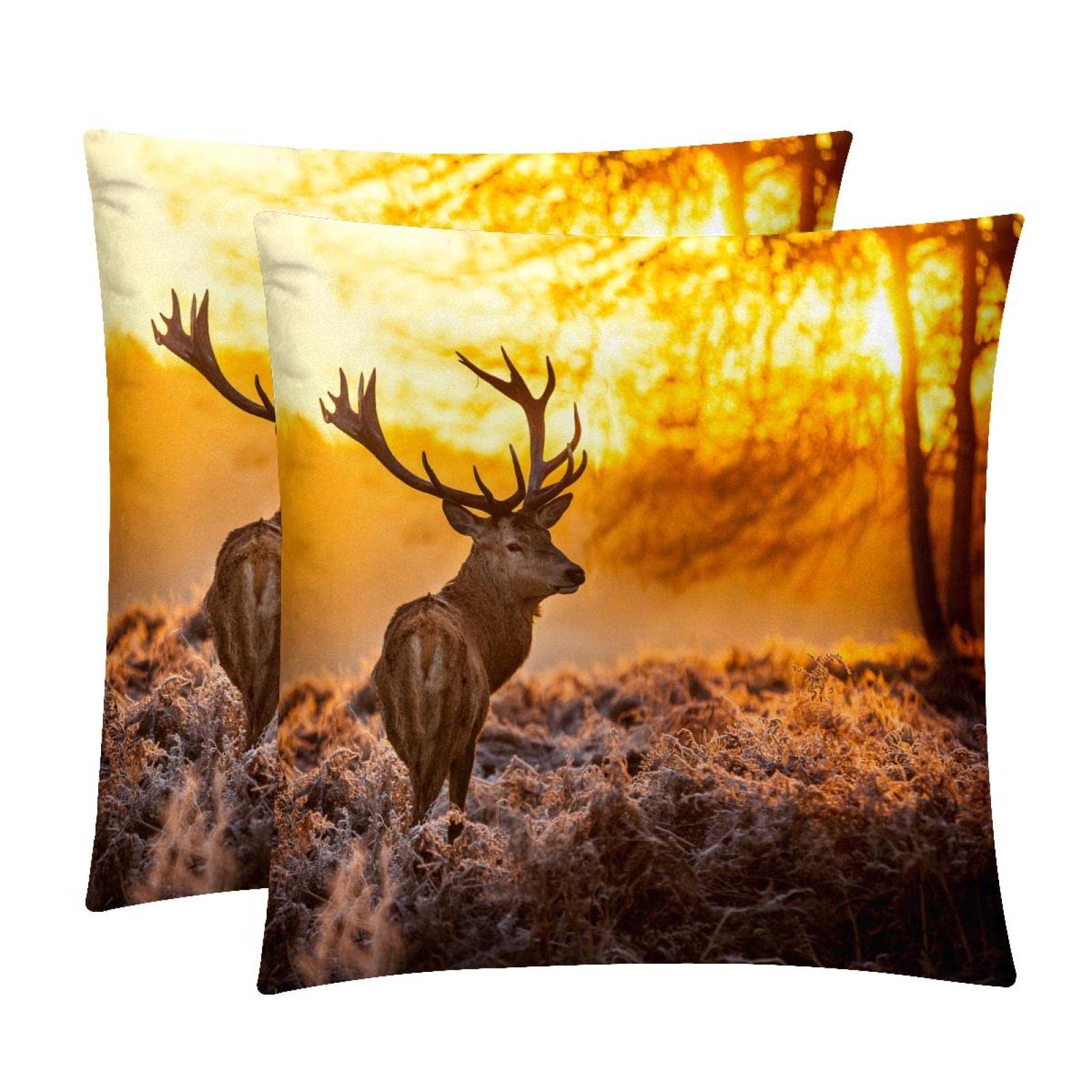 Housses de coussin élan forêt lot de 2 déco maison de ferme