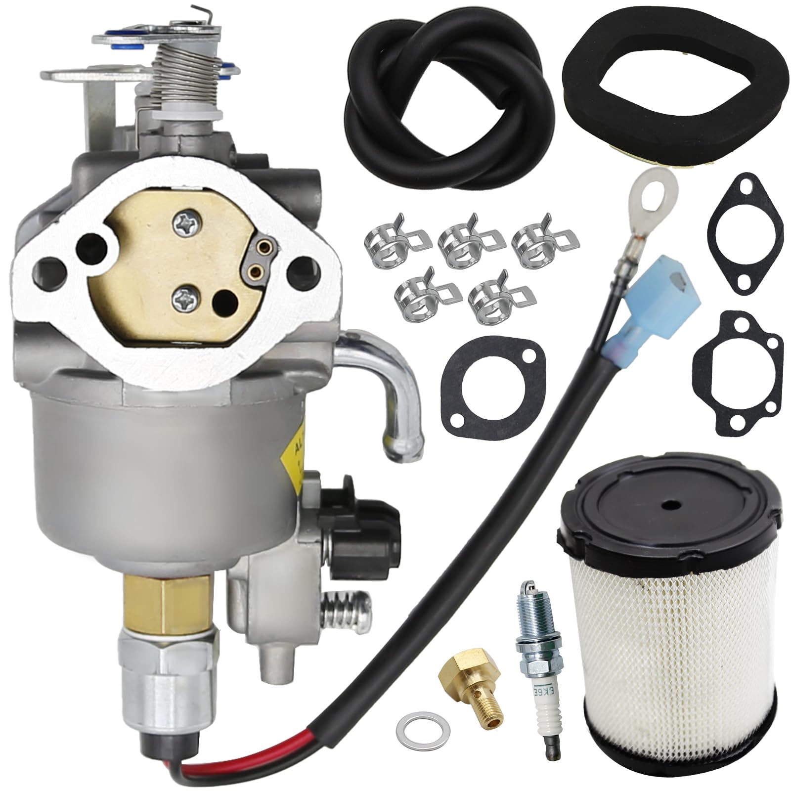 ash.0401  Amazon.com: Aynaxcol A042P619 Carburetor Carb with Gaskets