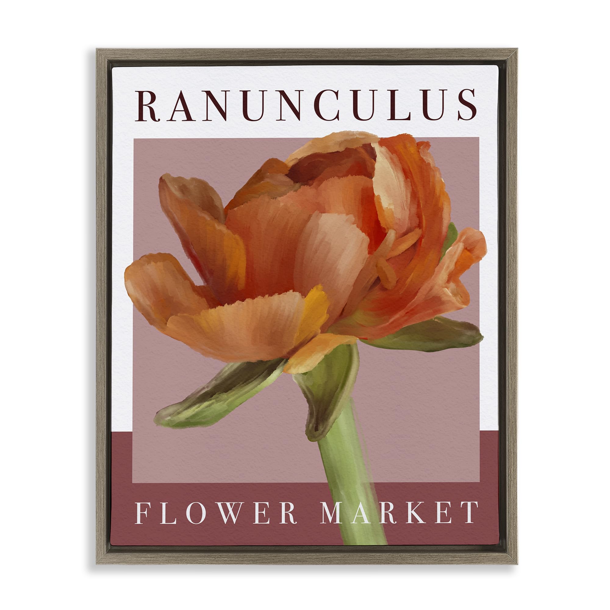 Stupell Industries Montalcino Elm (Textured) Ranunculus Flower Market Floral, 24 X 30 Inch Canvas In Floater Frame