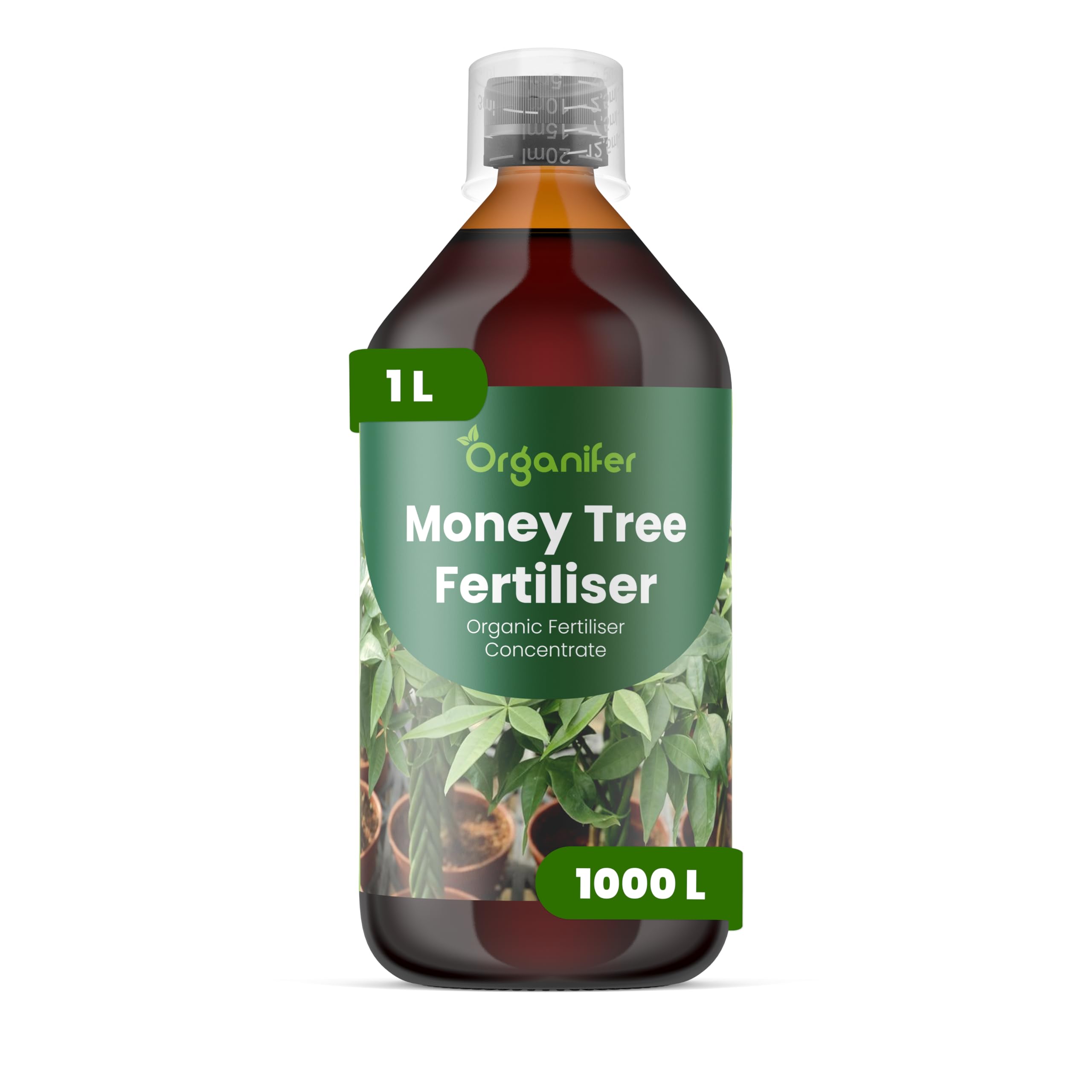 Fertilizzante liquido organico 1L per albero dei soldi – piante forti e fogliame rigoglioso – Organifer
