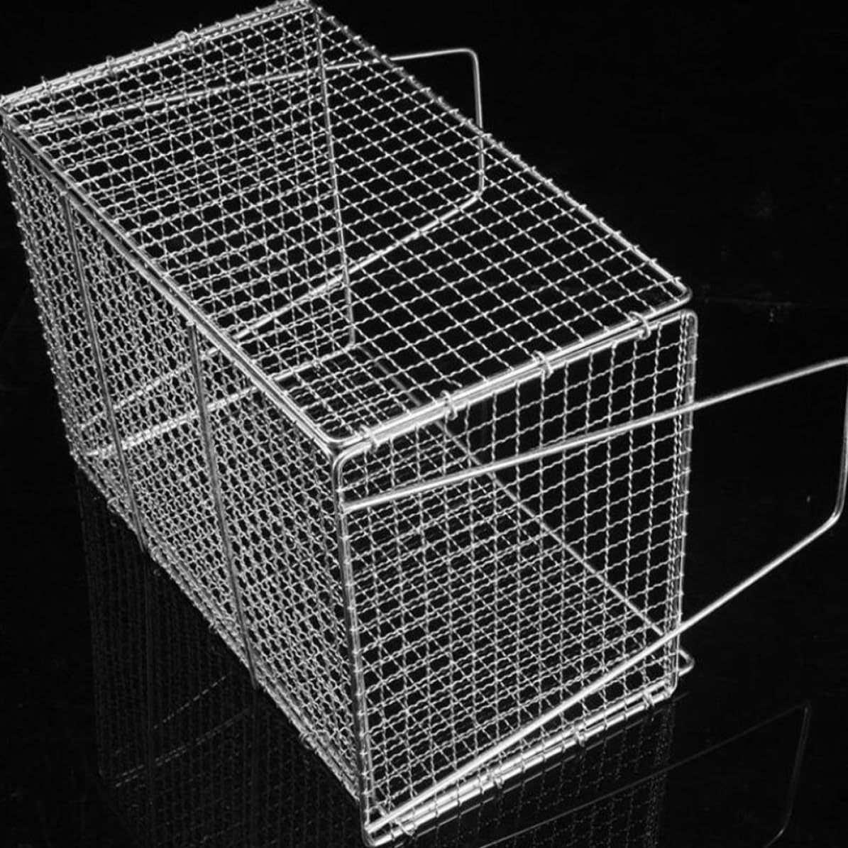 Acero Inoxidable Cesta para Freír, Colador de Alimentos