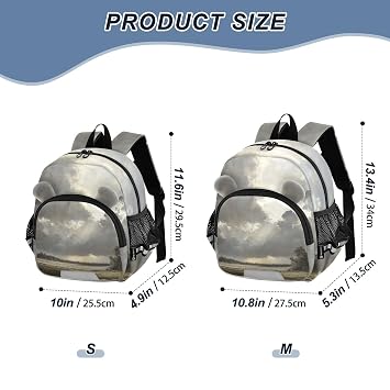 Sky Wetland Landscape Gray Toddler Harness Backpack for Boys Girls 3-6 Years Kids Backpack with Anti Lost Safety Leash Baby Harness Bookbag for Walking Preschool Travel