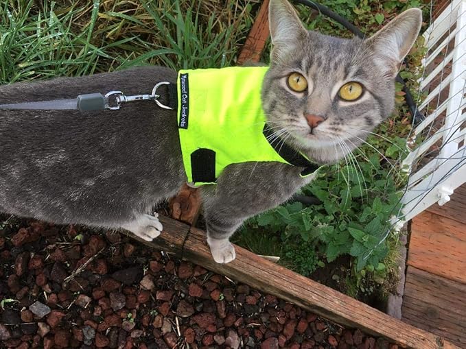 reflective cat jacket