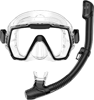 Snorkel Set Adults Snorkeling Gear Anti-Leak and Anti-Fog Tempered Glass Lens Panoramic View Swim Mask Dry Top Snorkel Kit for Snorkeling Scuba Diving Swimming Travel with Carry Bag