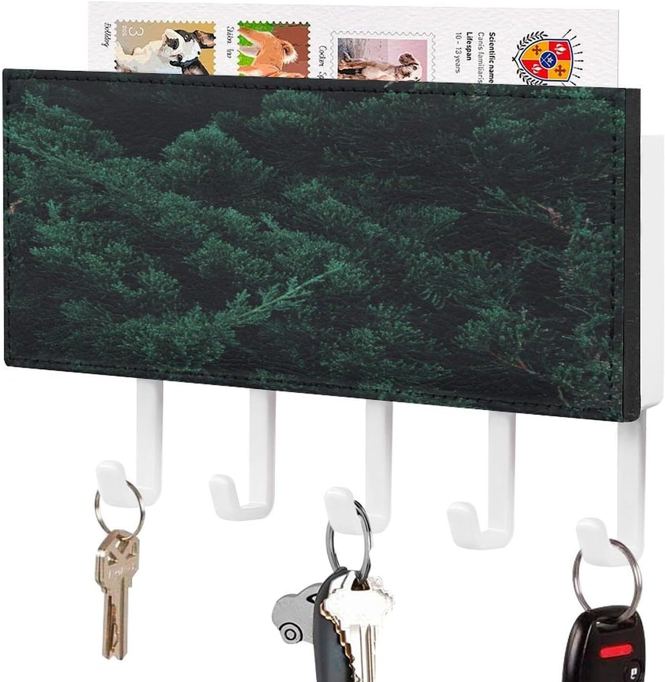 Key Holder Wall Mount Key Hanger with 5 Hooks, Decorative Key Rack | Dark Green Forest Hanging Key Hooks with Mail Organizer for Wall Living Room Kitchen Bathroom Hallway