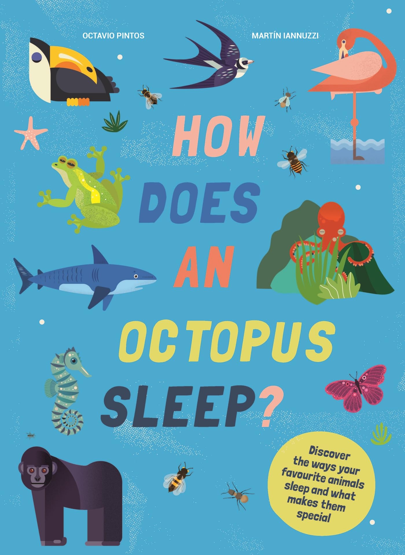 How Does an Octopus Sleep?: Discover the ways your favourite animals sleep and what makes them special