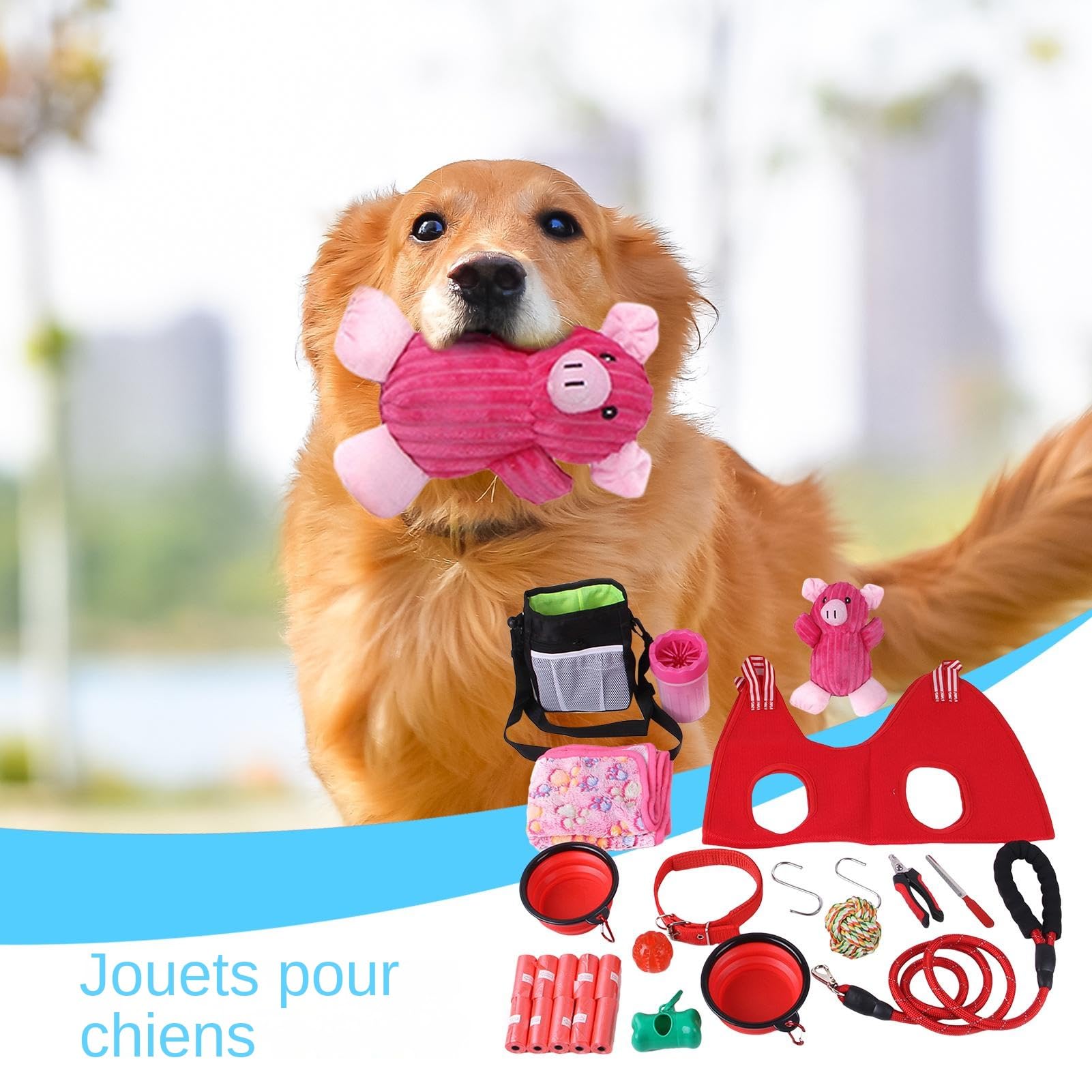 XIAOXIAOYU Kauspielzeug-Set für Welpen, Agility-Trainingsgerät für Hunde | multifunktionales Hundespielzeug | Robustes Spielzeug-Set, sicher für tägliche Hunde,