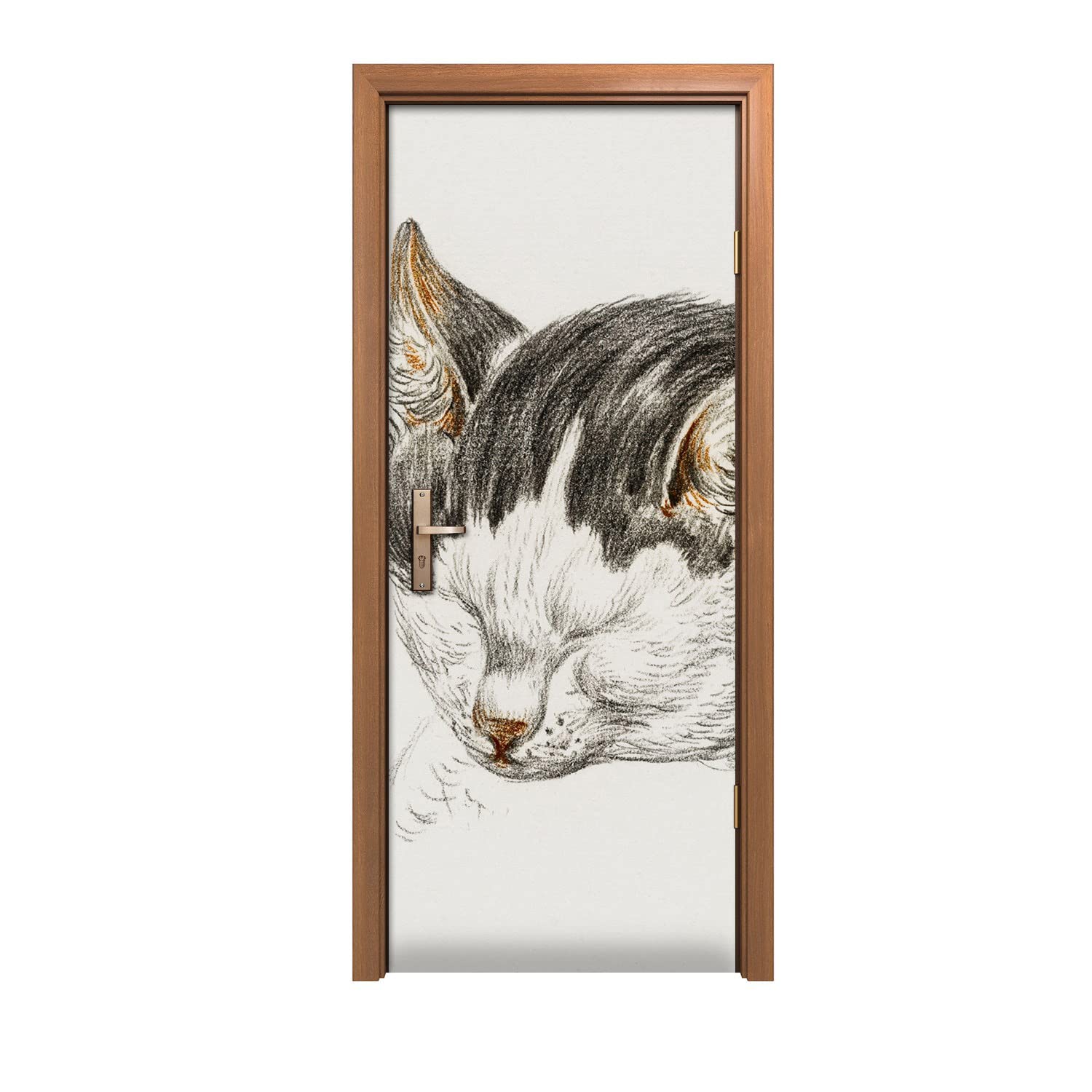 Autocollant de porte chat animal, idéal pour relooker votre intérieur en 90x200cm