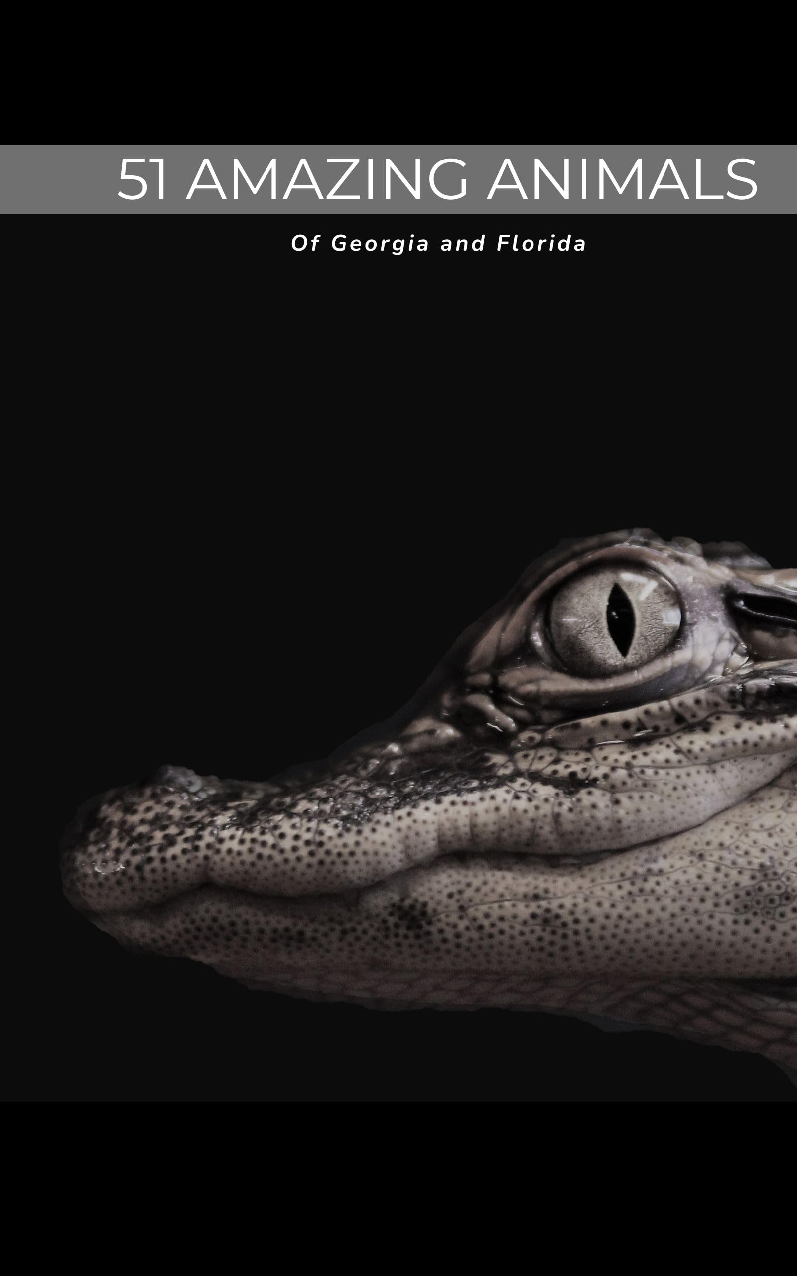 Animals of Georgia and Florida 51 espèces étonnantes livre anglais