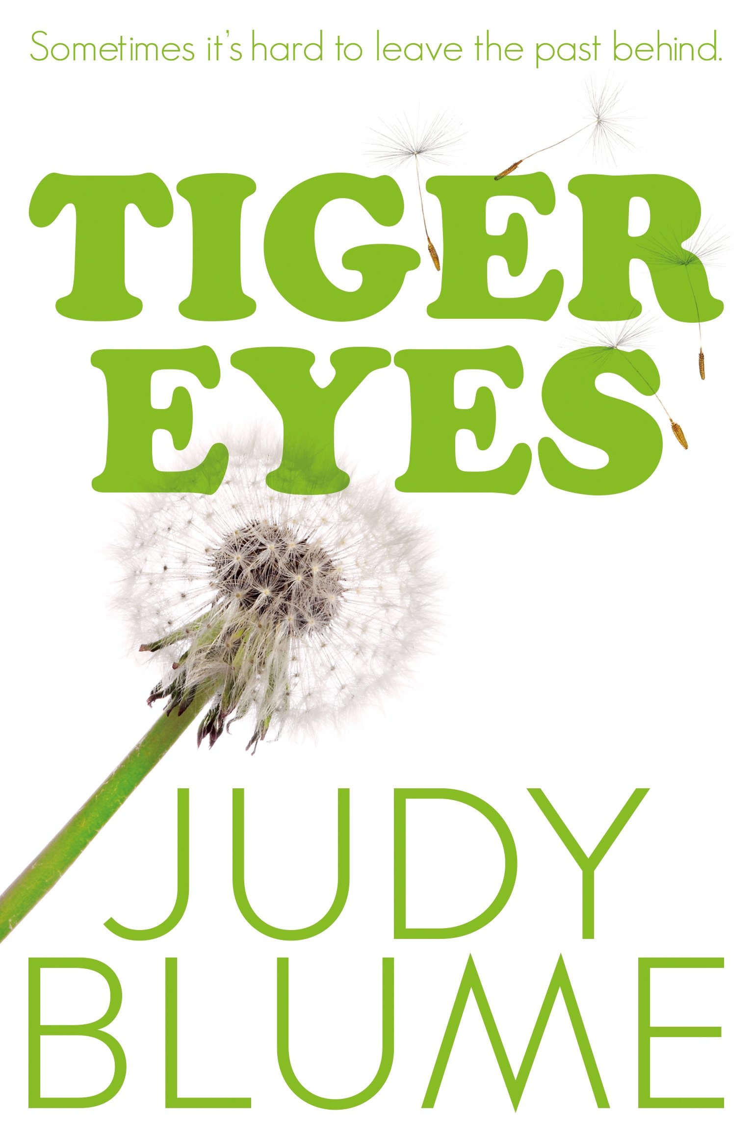 Tiger Eyes by Judy Blume (Paperback Book)