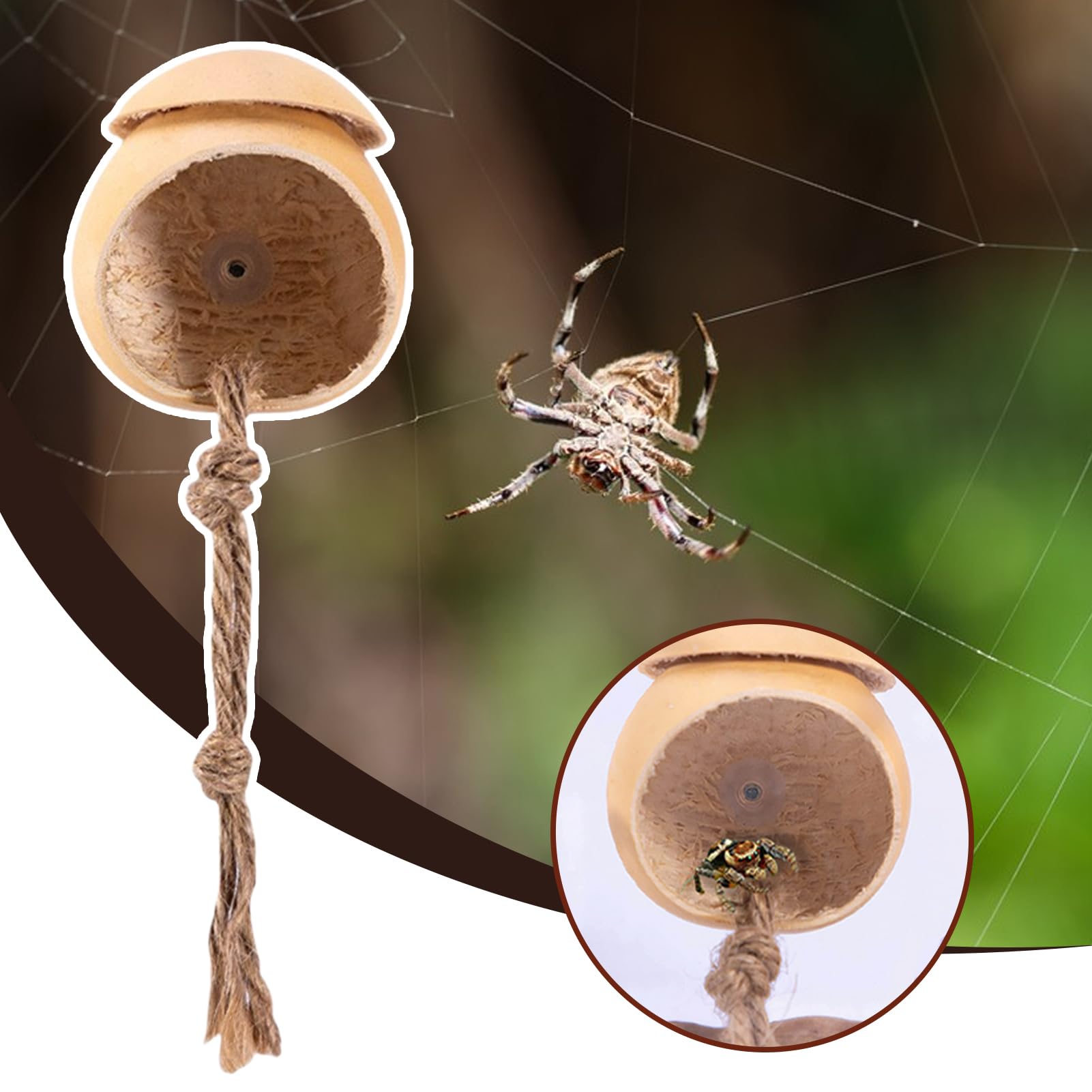 Terrarium Dla Skakunów, Ręcznie Robiona Klatka dla Skaczących Pająków z Przyssawką, Dekoracyjne Terrarium W Kształcie Tykwy Akcesoria Dla Jaszczurek I Żab