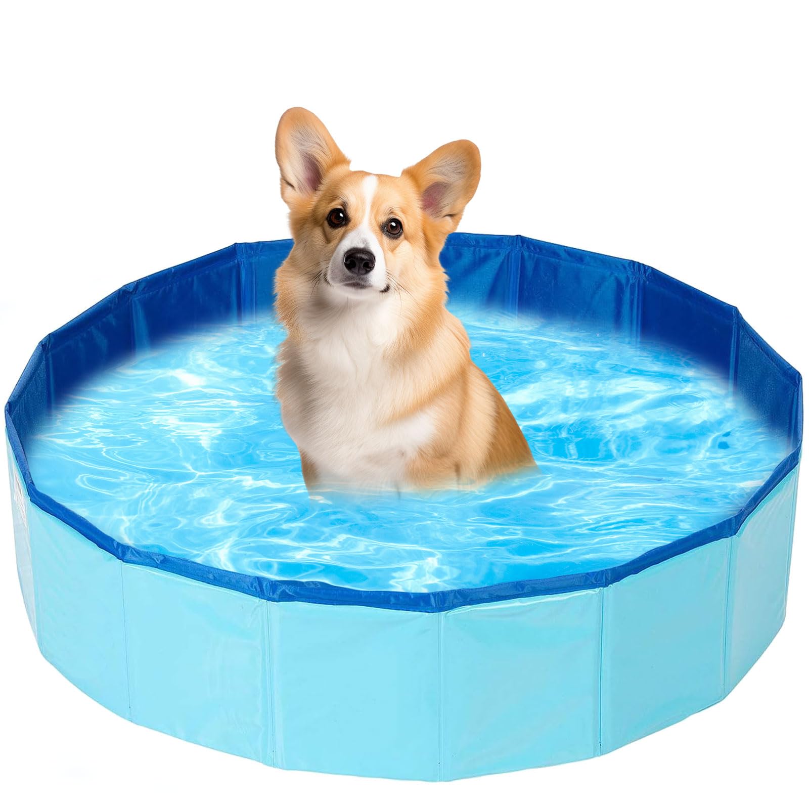 Piscina plegable para perros y gatos, mini piscina portátil para perros y gatos (50 x 10 cm)