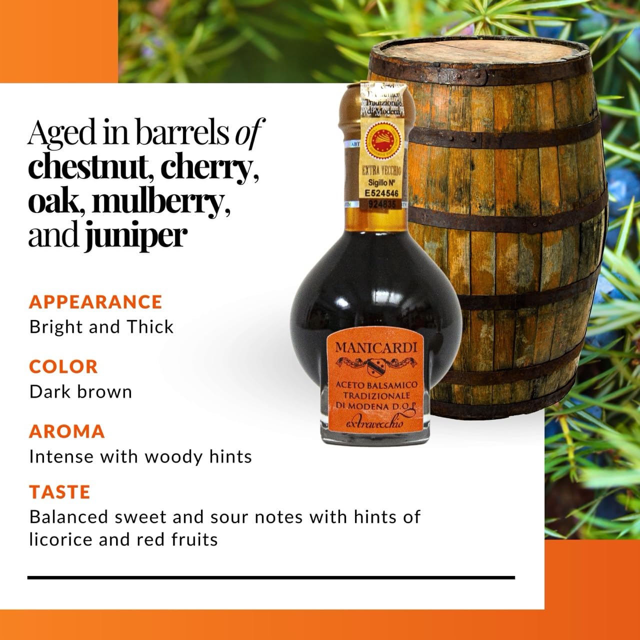 MANICARDI Extra Aged Balsamic Vinegar of Modena PDO - 25 Years - Perfect for Snacks, Pasta, Vegetables, Salad Dressings and Meat - Made in Italy - 3.38 Fl Oz (100 ml)
