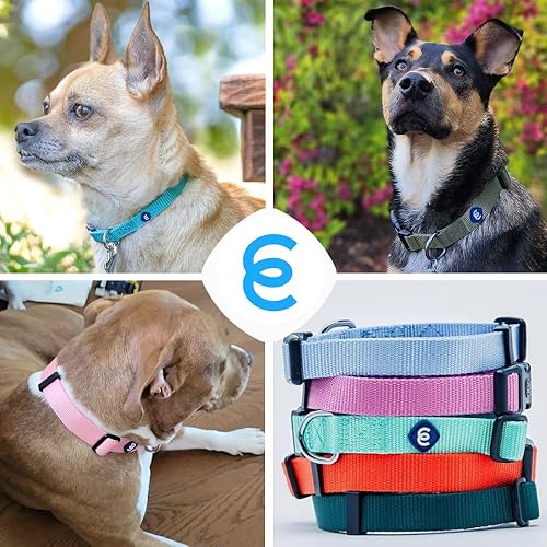 Miniatura 5 de Blueberry Pet Essentials - Collar clásico, ajustable y duradero de nailon, color azul marino auténtico, tamaño L, cuello de 18 a 26 pulgadas, para