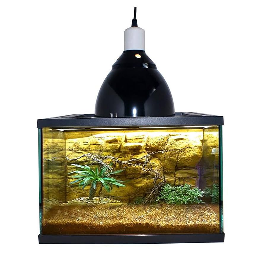 Amazon.co.jp: 爬虫類 飼育用ケース 360°昆虫の爬虫類のための