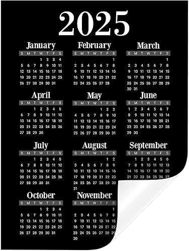 Calcomanía de calendario anual de año a un vistazo, extraíble y reposicionable (2024, 9 x 12 pulgadas, acuarela)